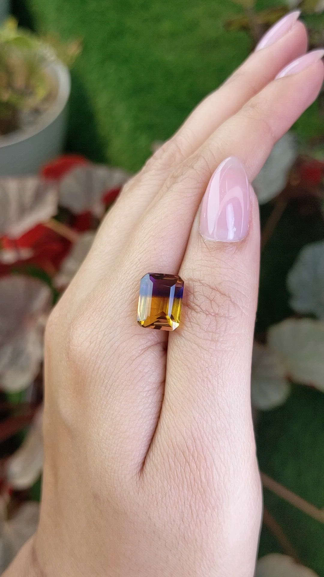 5.68 Ct. Bi Color Ametrine from Brazil Size Video