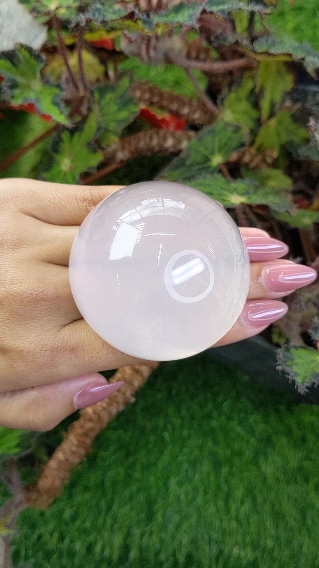 843.60 Ct. White Cabochon Quartz from Brazil Size Video