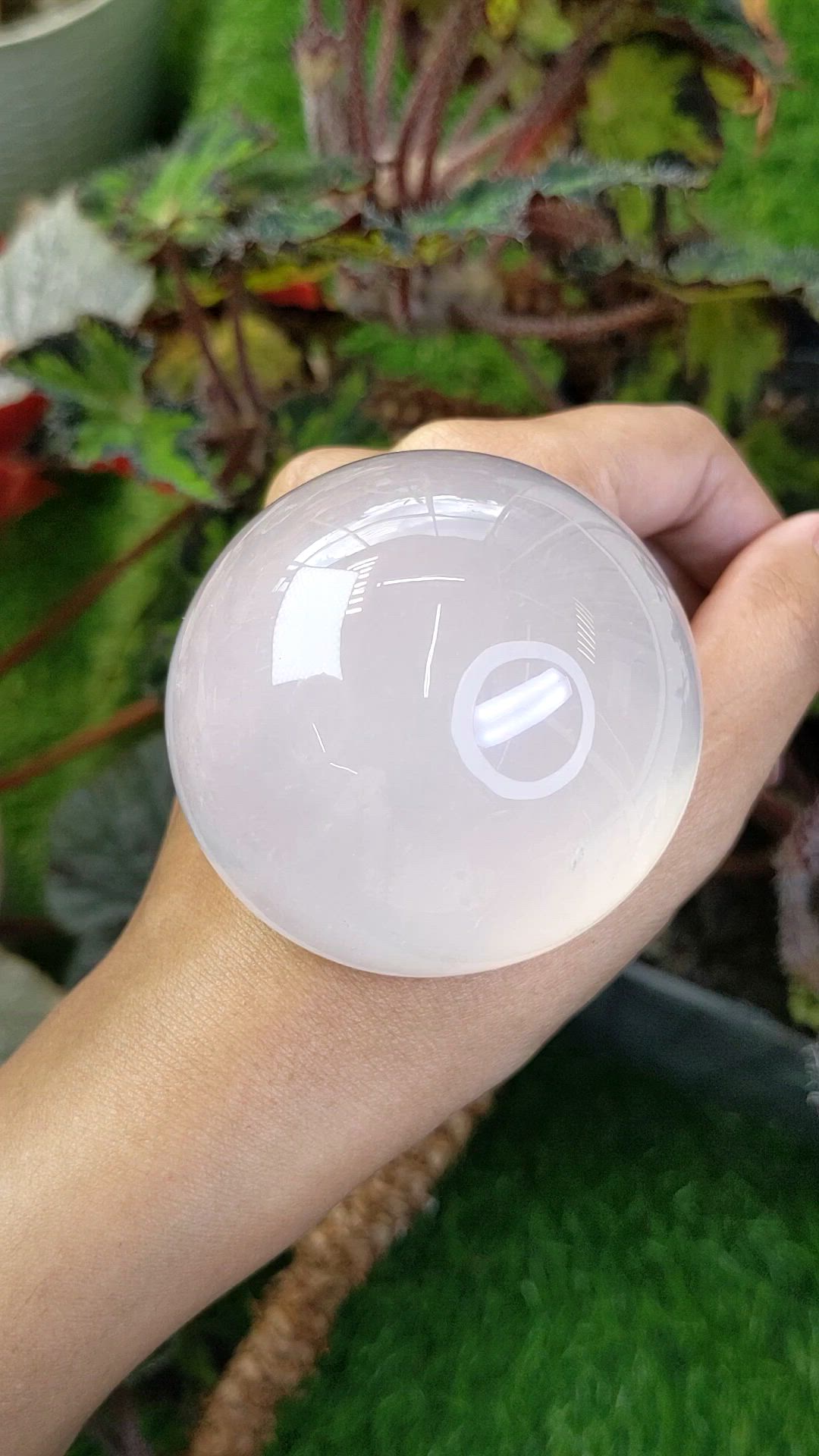 843.60 Ct. White Cabochon Quartz from Brazil Size Video