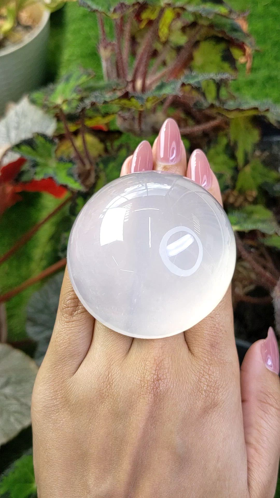 843.60 Ct. White Cabochon Quartz from Brazil Size Video