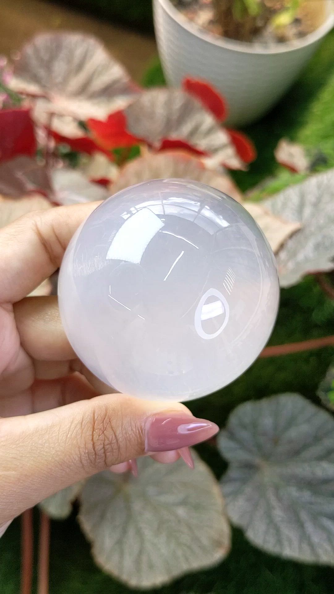 843.60 Ct. White Cabochon Quartz from Brazil Size Video