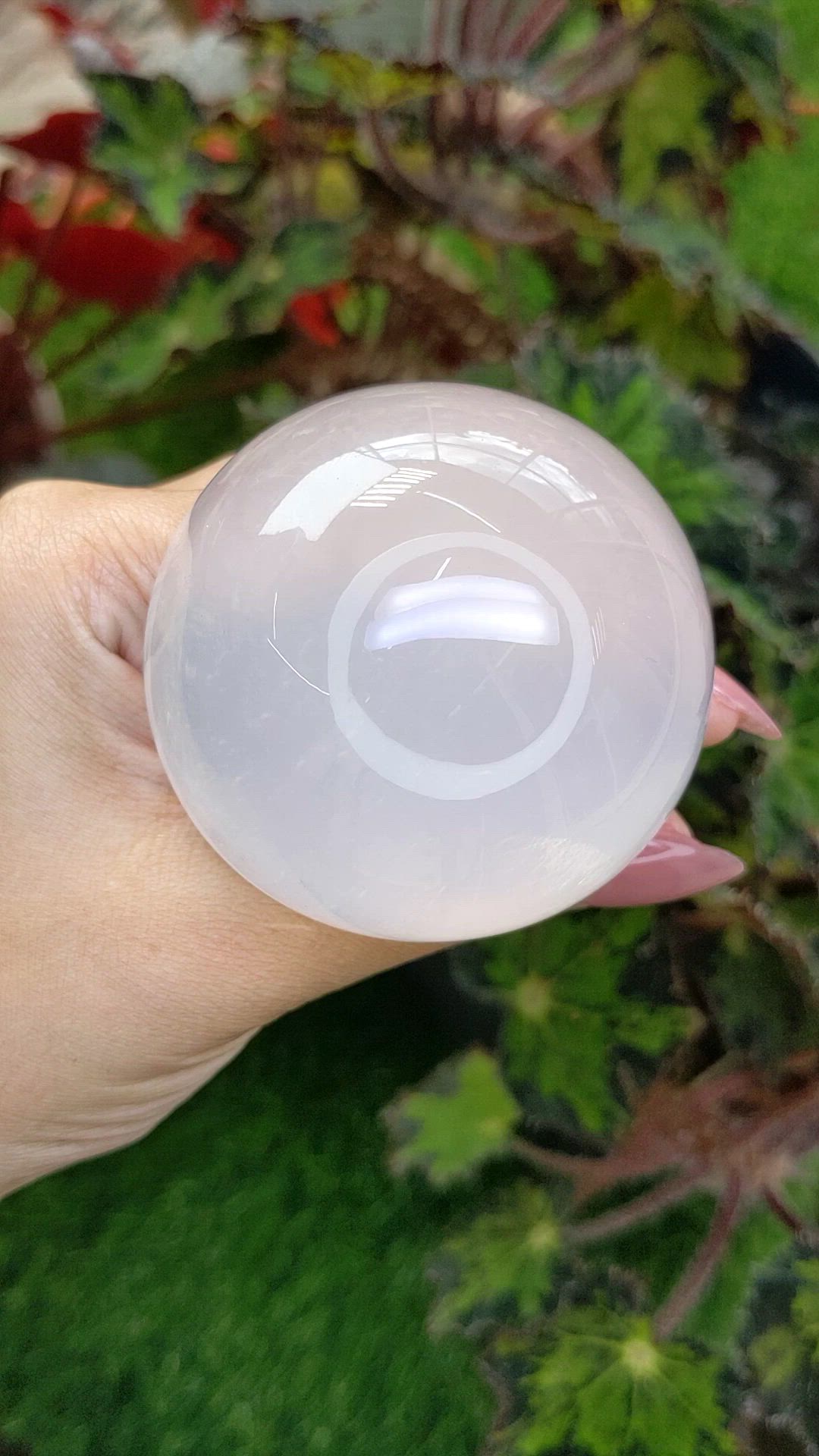843.60 Ct. White Cabochon Quartz from Brazil Size Video