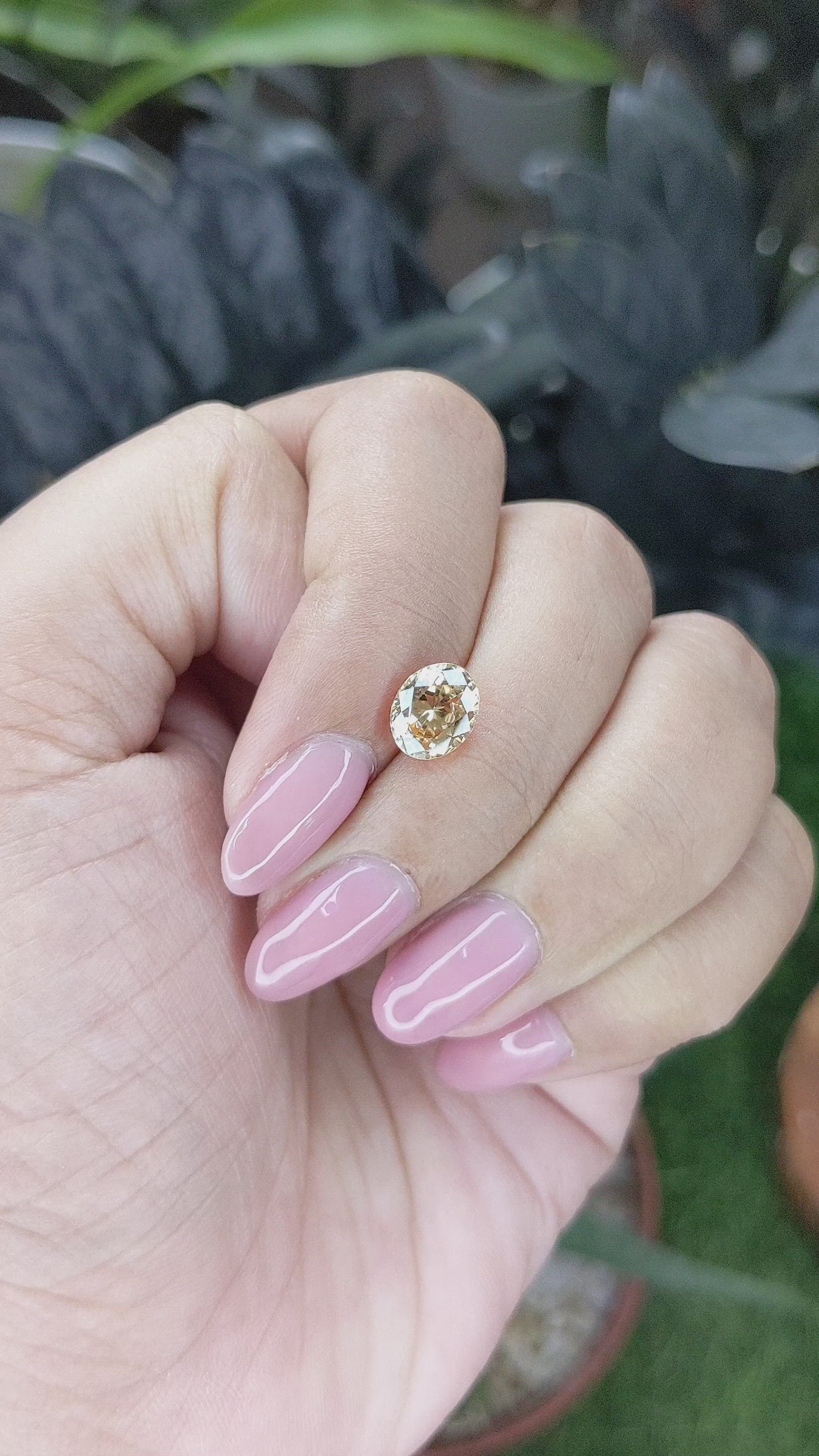 2.13 Ct. Brownish Yellow Zircon from Ceylon (Sri Lanka) Size Video