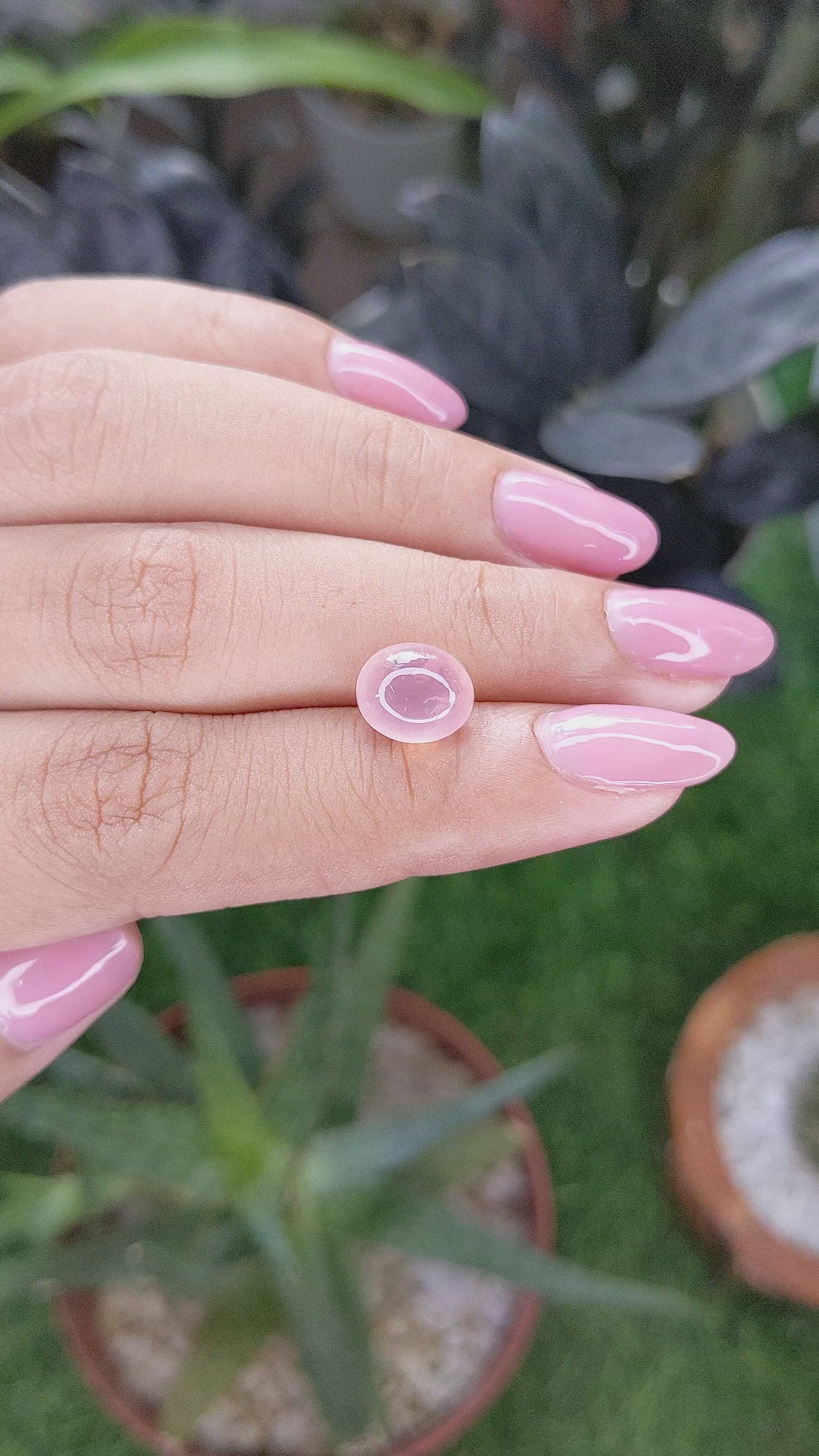 2.78 Ct. Pink Cabochon Star Rose Quartz Size Video
