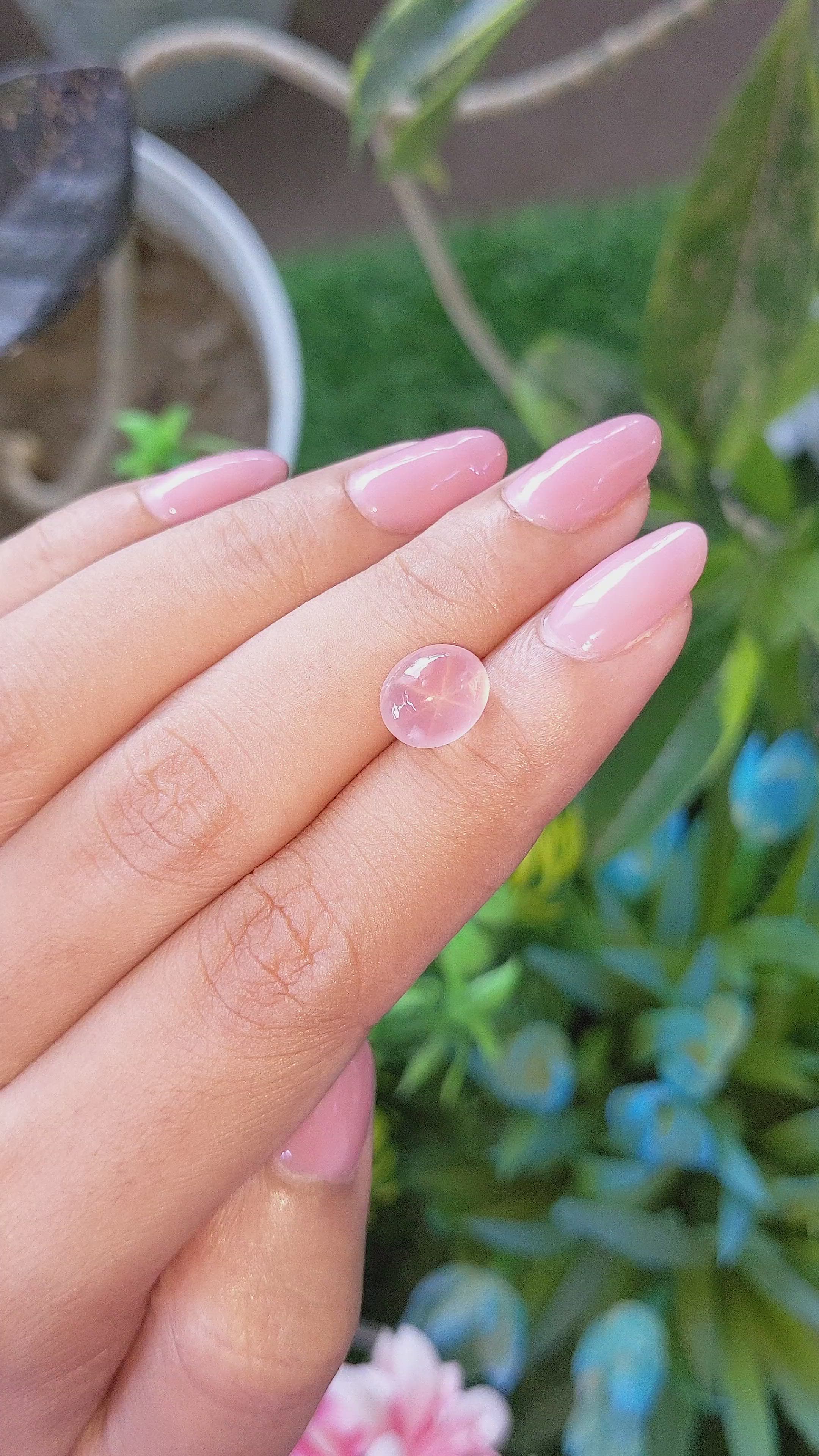 2.78 Ct. Pink Cabochon Star Rose Quartz Size Video