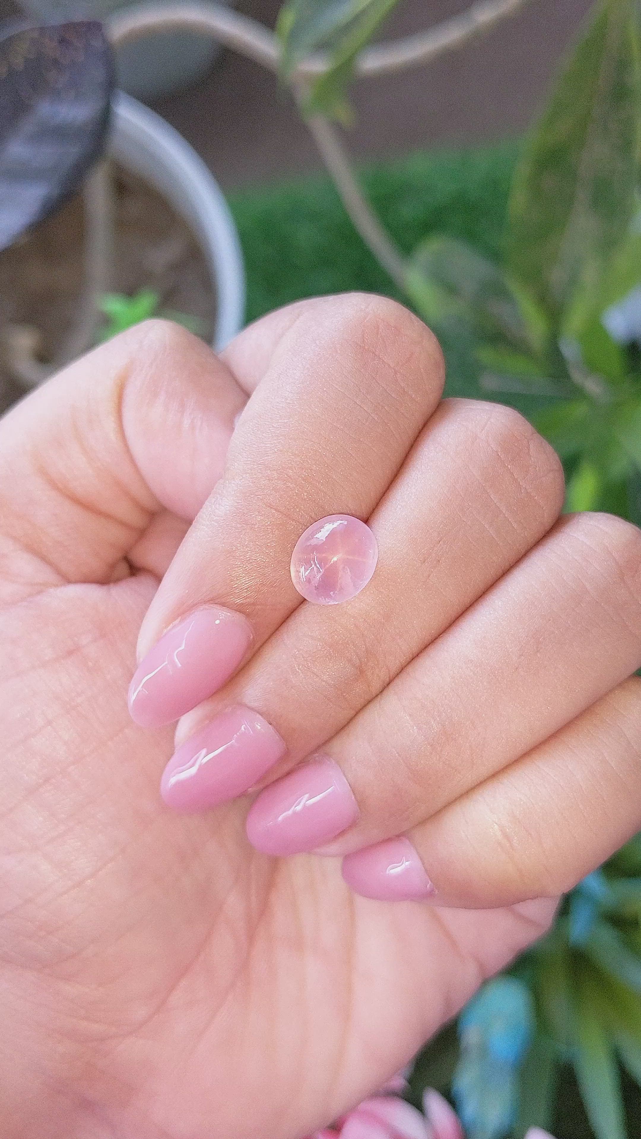 2.78 Ct. Pink Cabochon Star Rose Quartz Size Video
