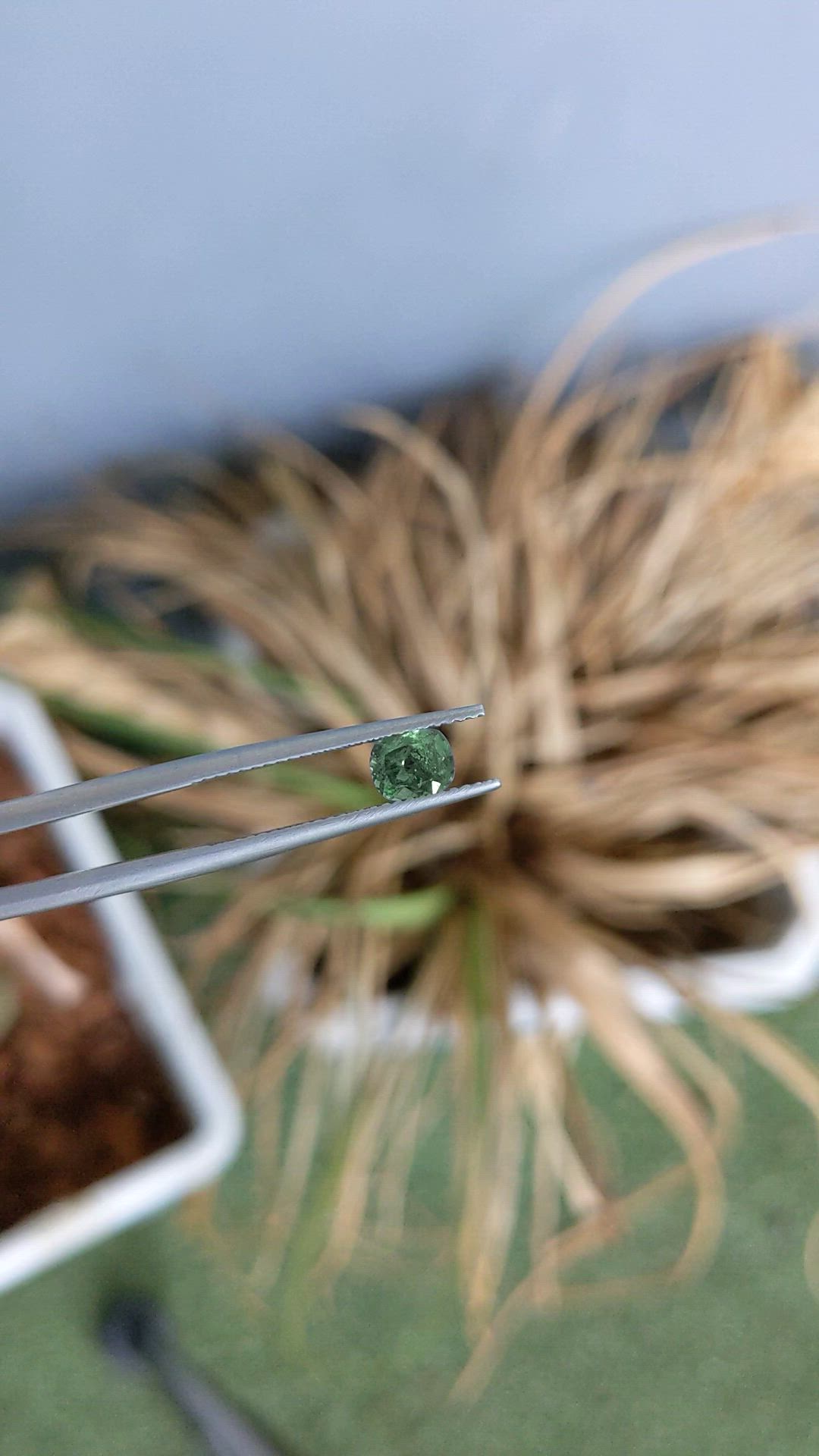 0.86 Ct. Alexandrite from Russia Size Video