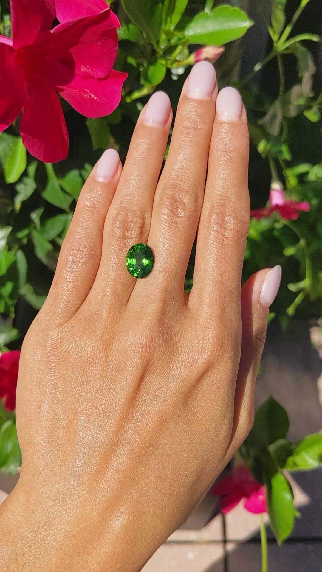 4.52 Ct. Paraiba Tourmaline from Mozambique Size Video