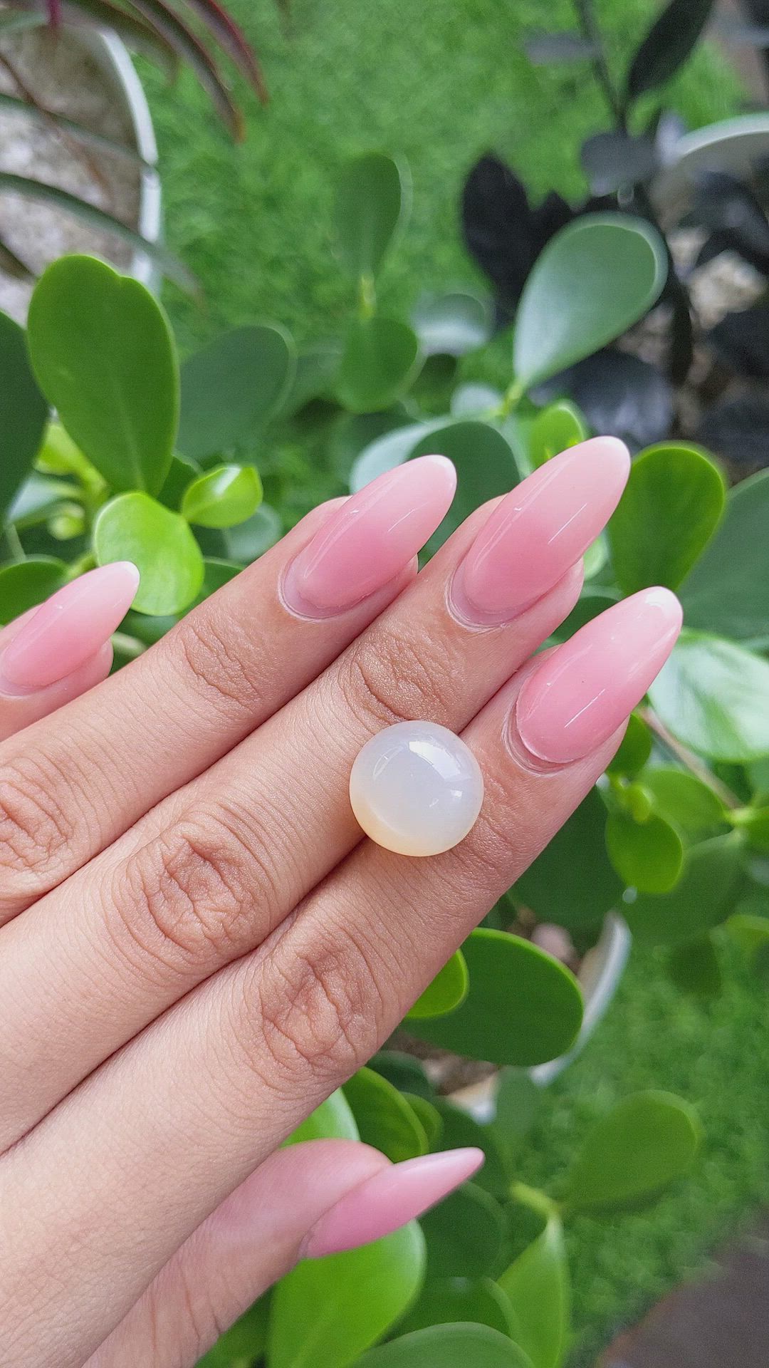 12.70 Ct. Cabochon Moonstone from Ceylon (Sri Lanka) Size Video