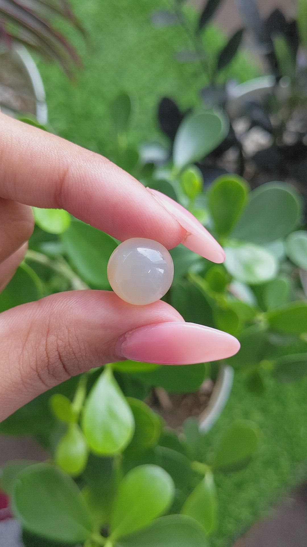 12.70 Ct. Cabochon Moonstone from Ceylon (Sri Lanka) Size Video
