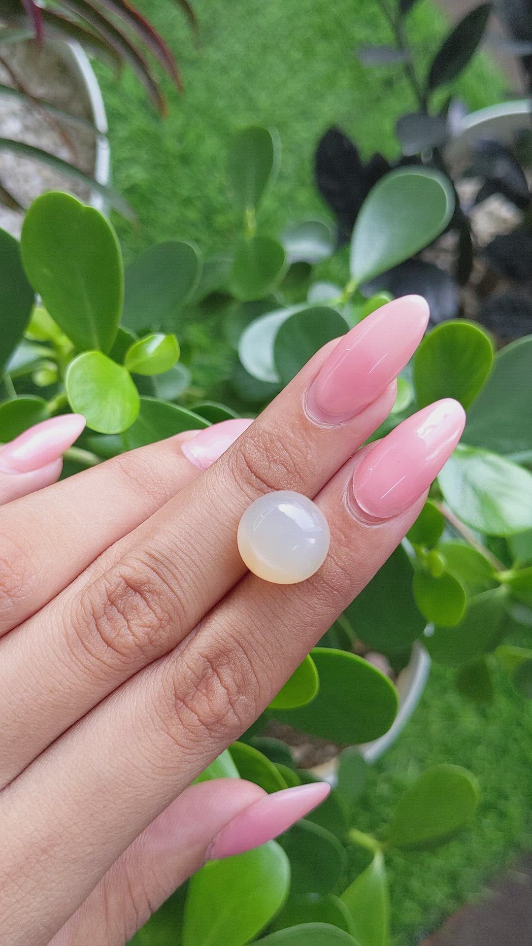 12.70 Ct. Cabochon Moonstone from Ceylon (Sri Lanka) Size Video