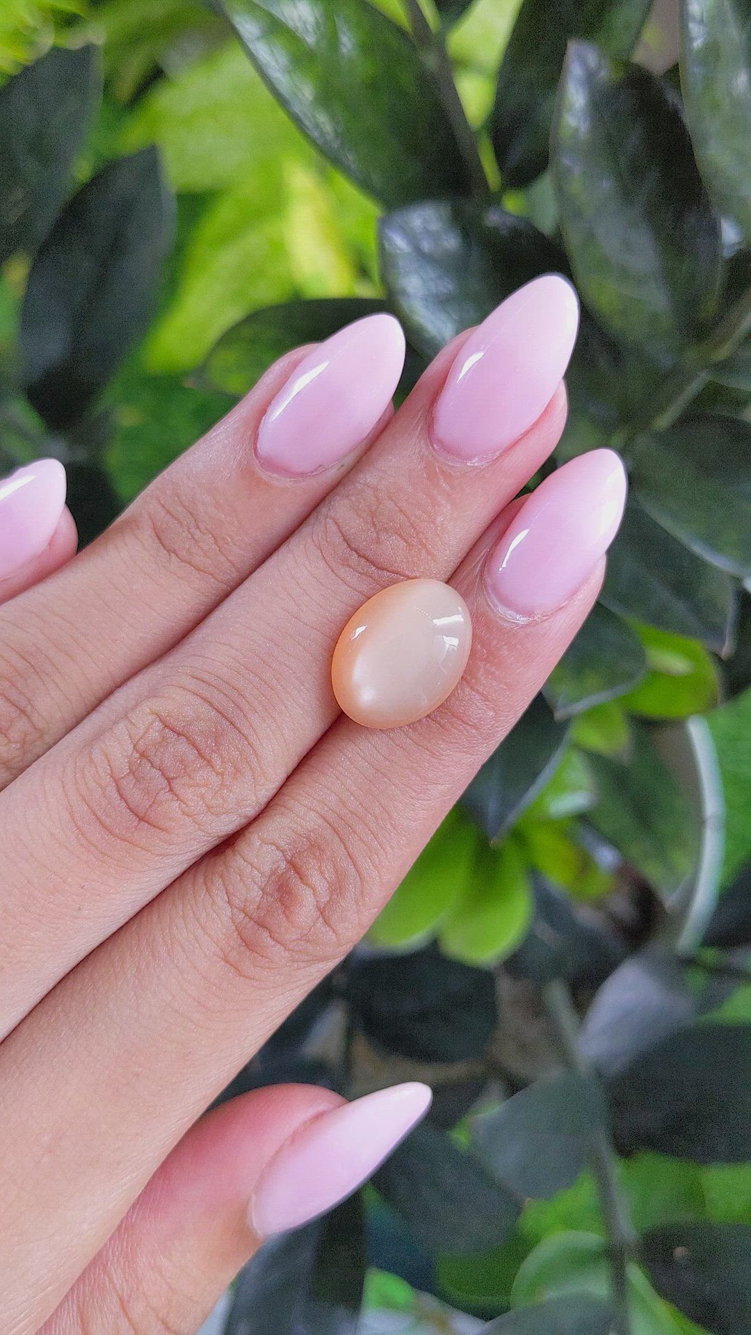 6.99 Ct. Cabochon Moonstone from Ceylon (Sri Lanka) Size Video