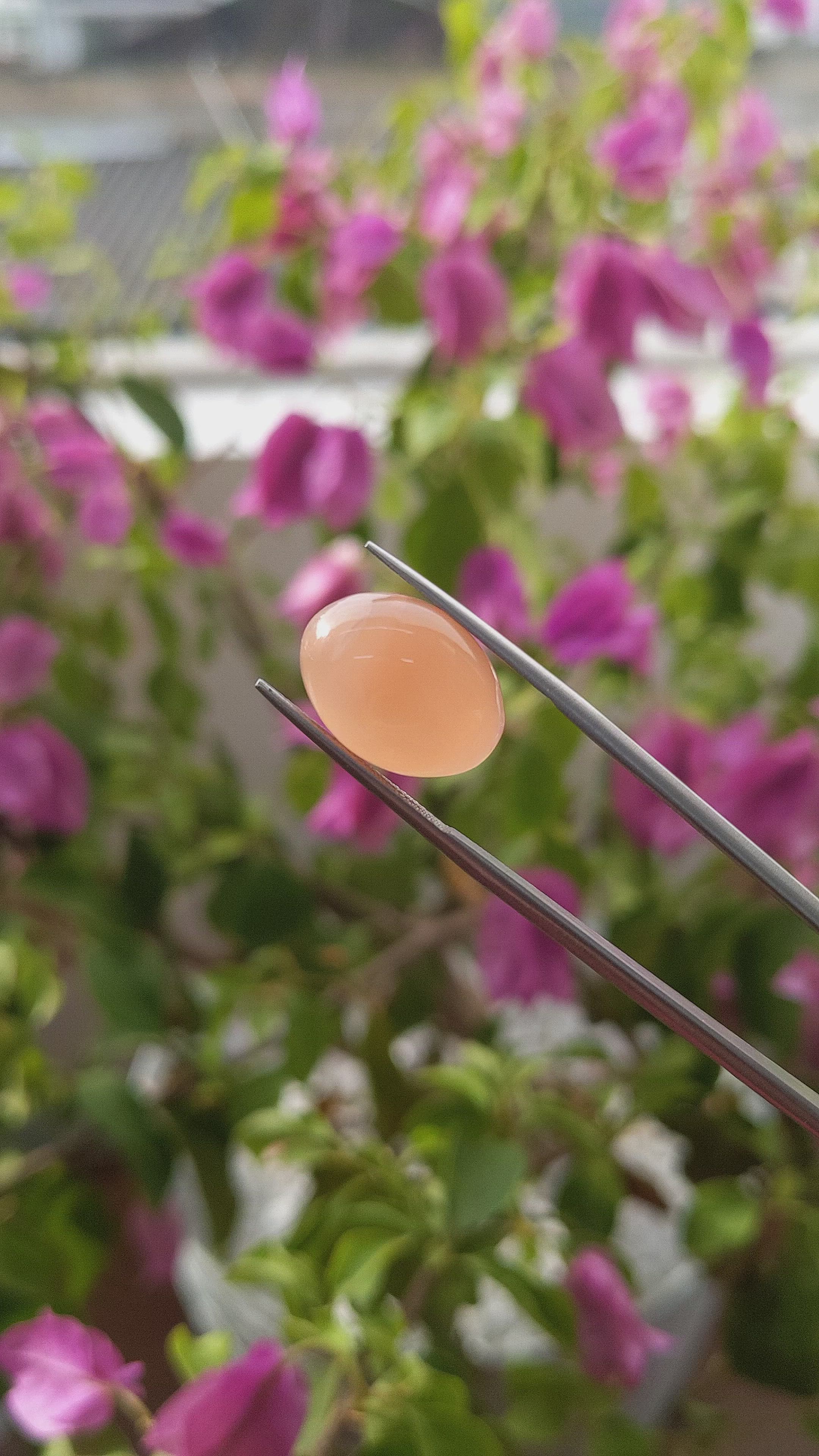 9.04 Ct. Cabochon Moonstone from Ceylon (Sri Lanka) Size Video