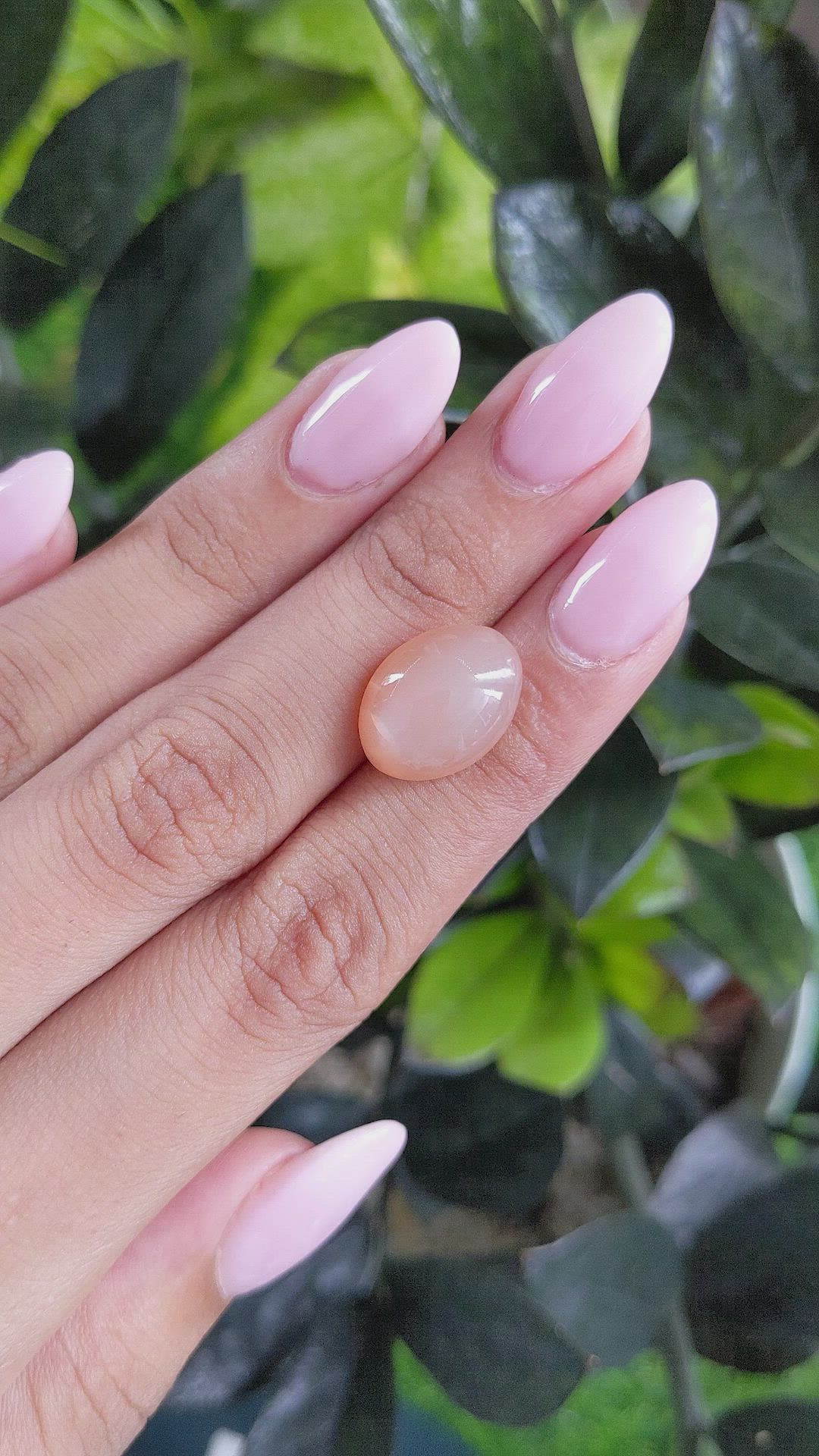 9.04 Ct. Cabochon Moonstone from Ceylon (Sri Lanka) Size Video