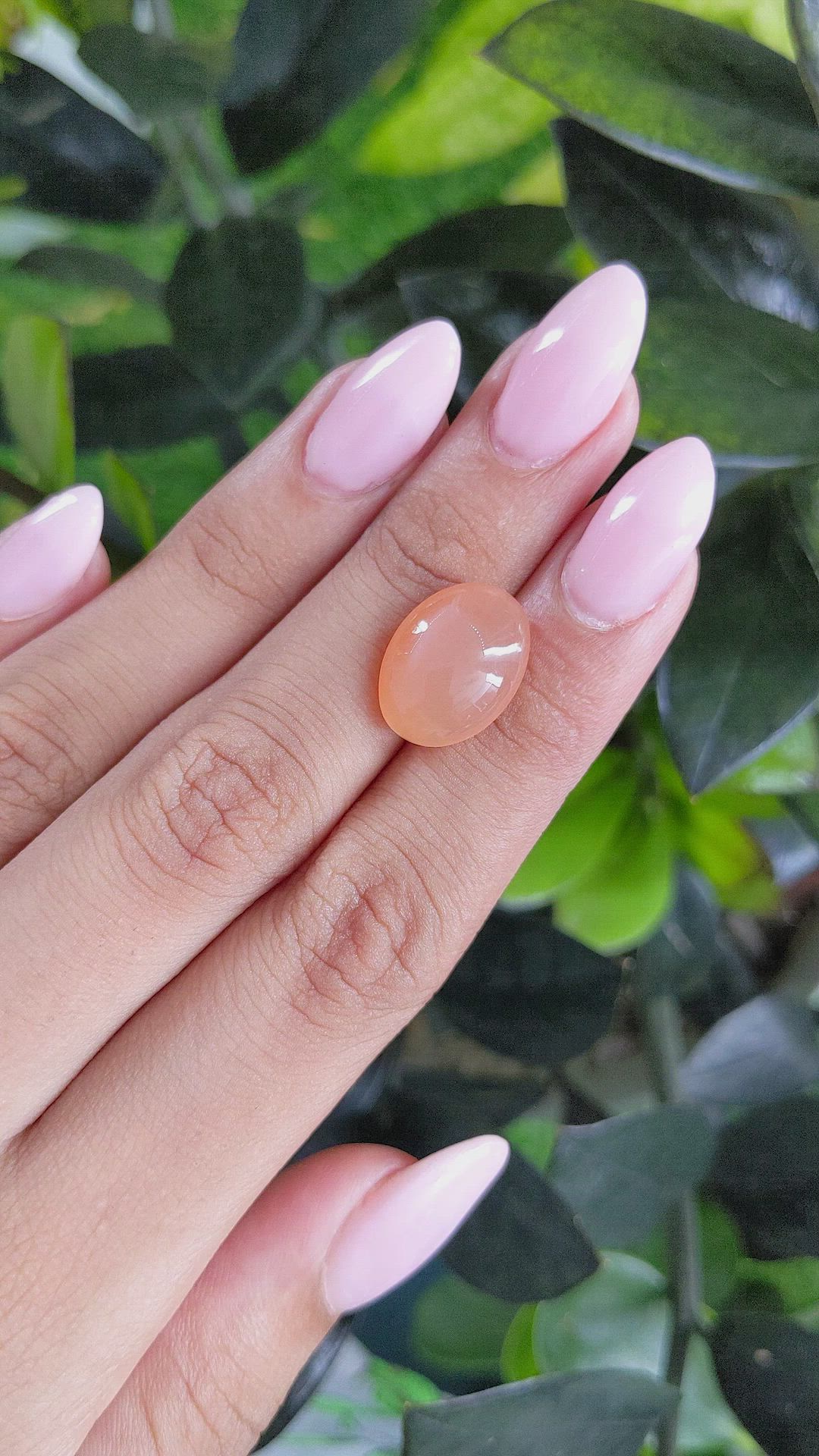 8.47 Ct. Cabochon Moonstone from Ceylon (Sri Lanka) Size Video