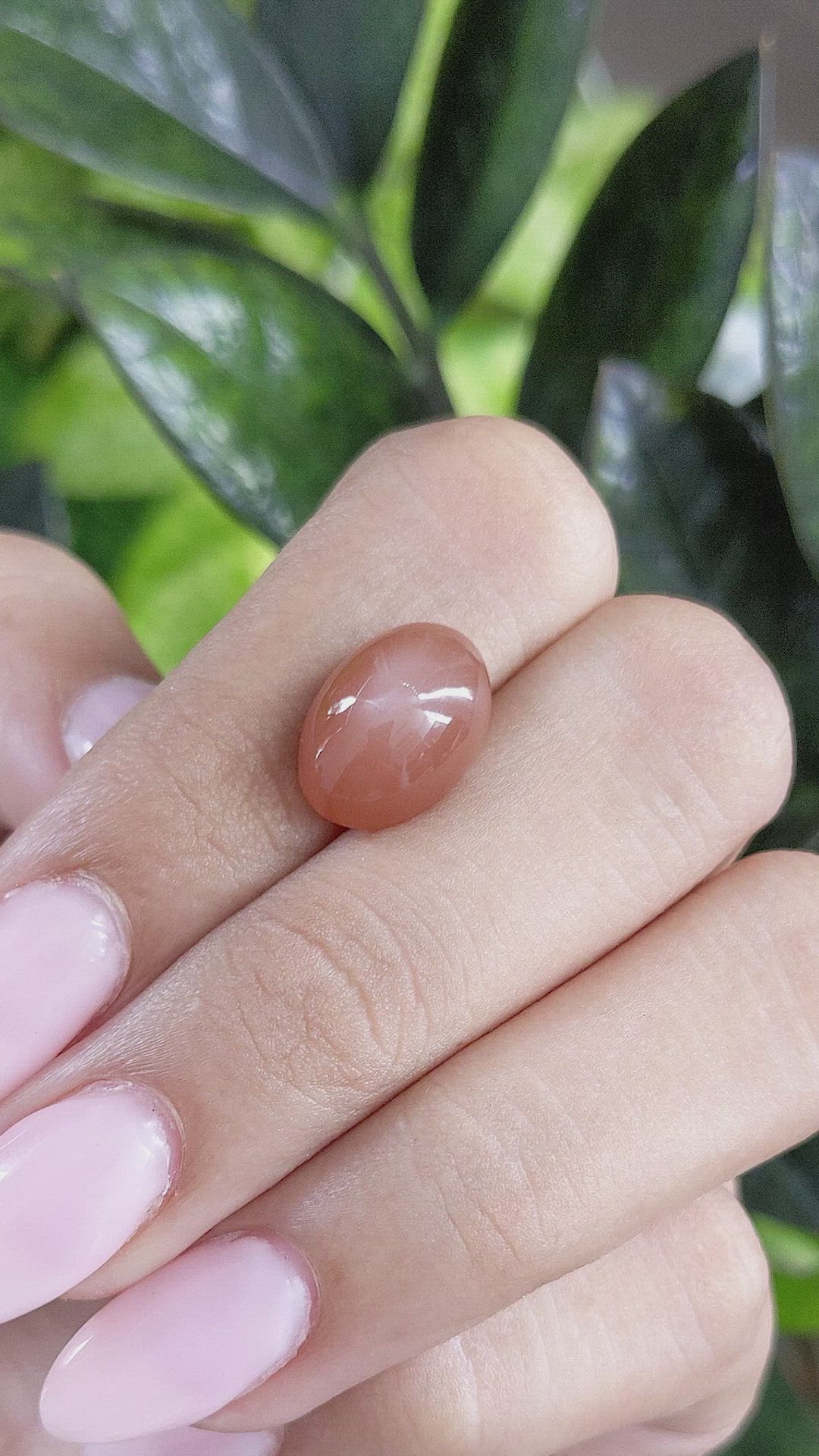7.24 Ct. Cabochon Moonstone from Ceylon (Sri Lanka) Size Video