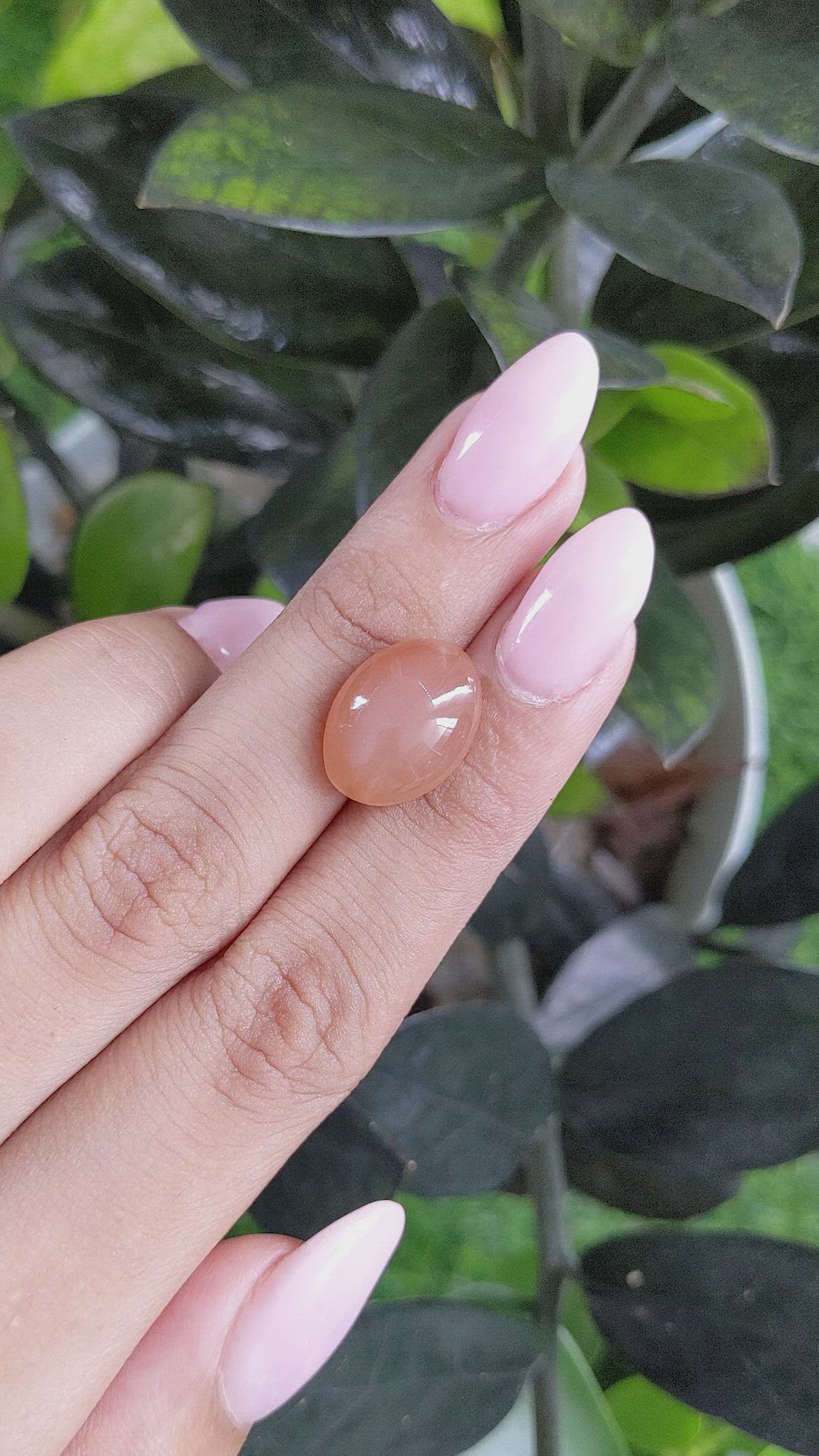 10.00 Ct. Cabochon Moonstone from Ceylon (Sri Lanka) Size Video