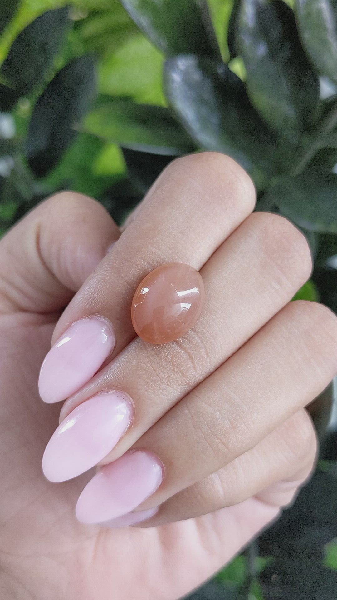 10.00 Ct. Cabochon Moonstone from Ceylon (Sri Lanka) Size Video