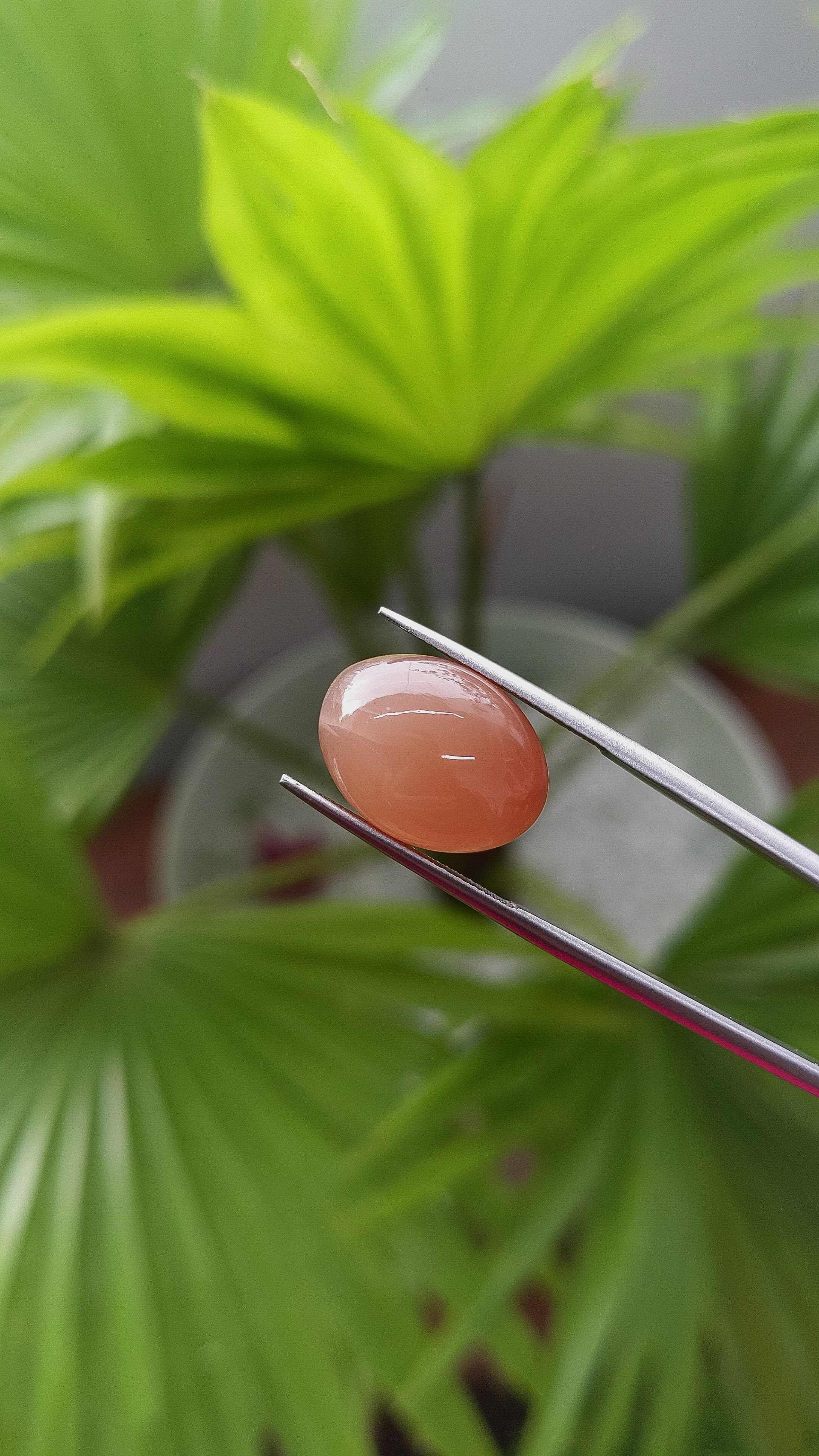 10.00 Ct. Cabochon Moonstone from Ceylon (Sri Lanka) Size Video