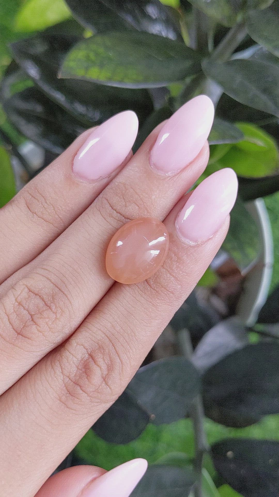 10.00 Ct. Cabochon Moonstone from Ceylon (Sri Lanka) Size Video