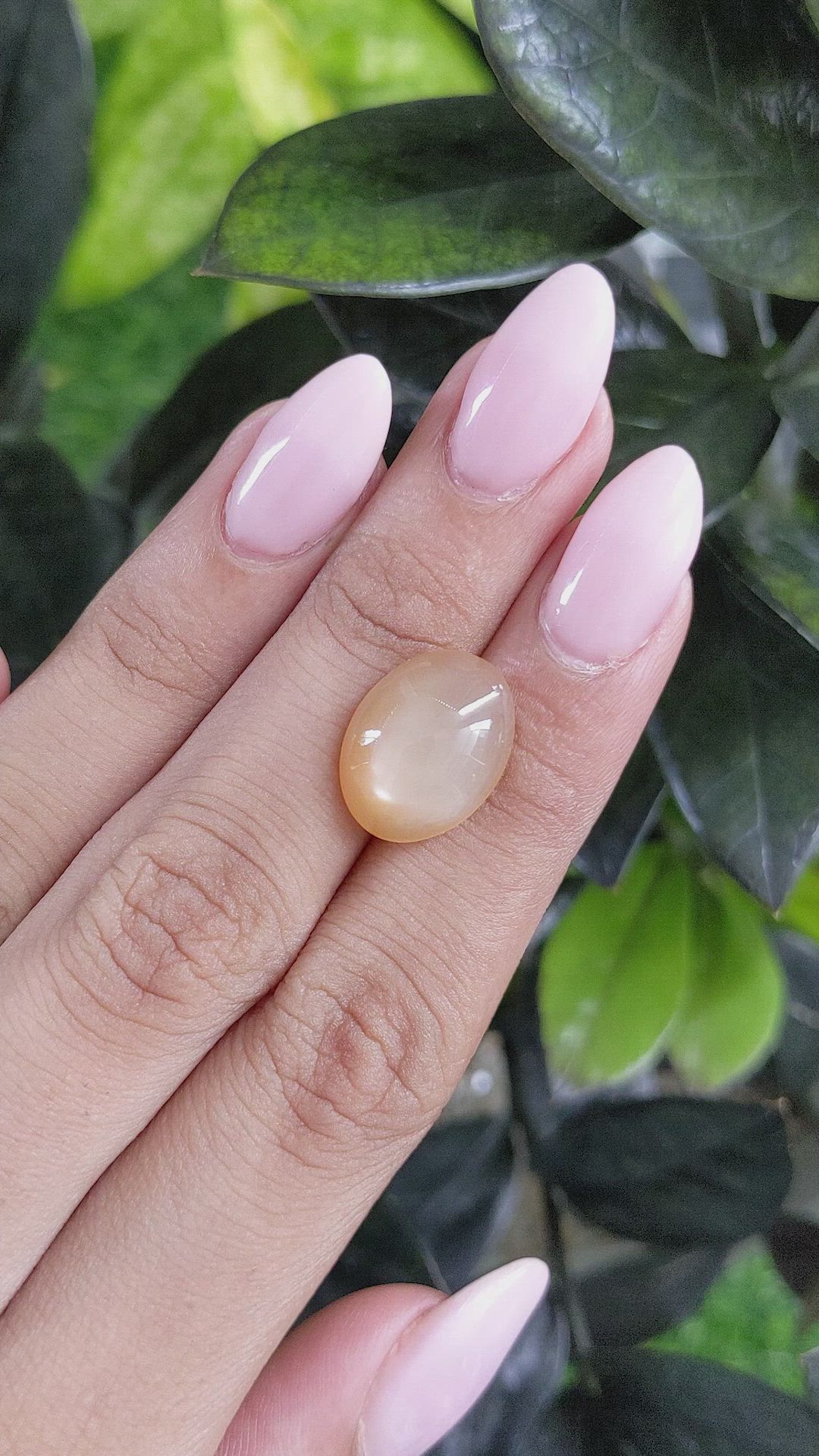 7.72 Ct. Cabochon Moonstone from Ceylon (Sri Lanka) Size Video