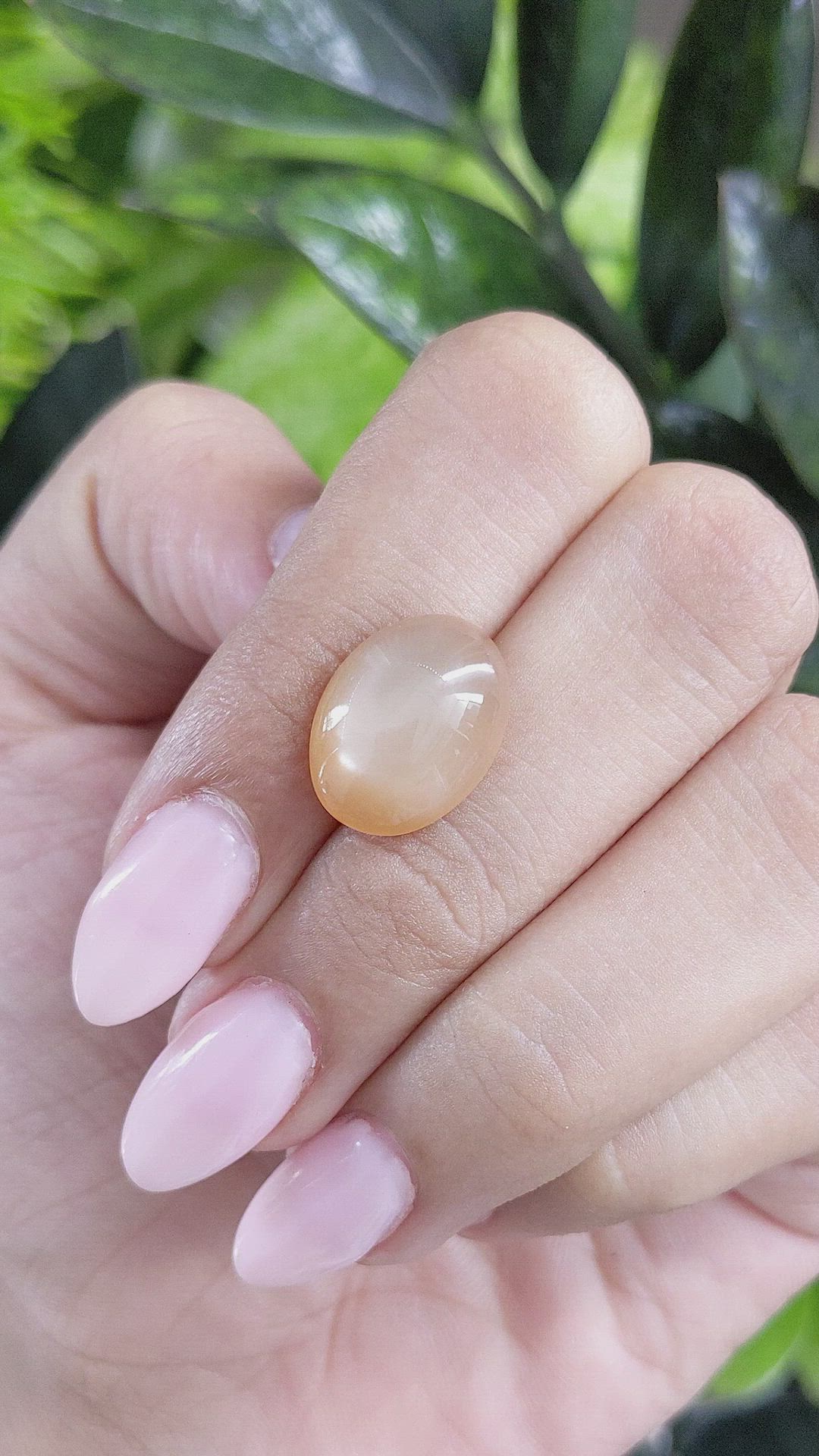 7.72 Ct. Cabochon Moonstone from Ceylon (Sri Lanka) Size Video