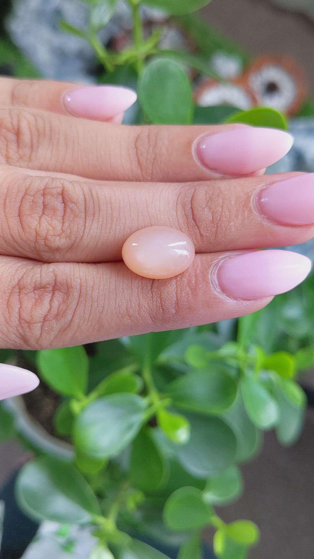 6.91 Ct. Cabochon Moonstone from Ceylon (Sri Lanka) Size Video