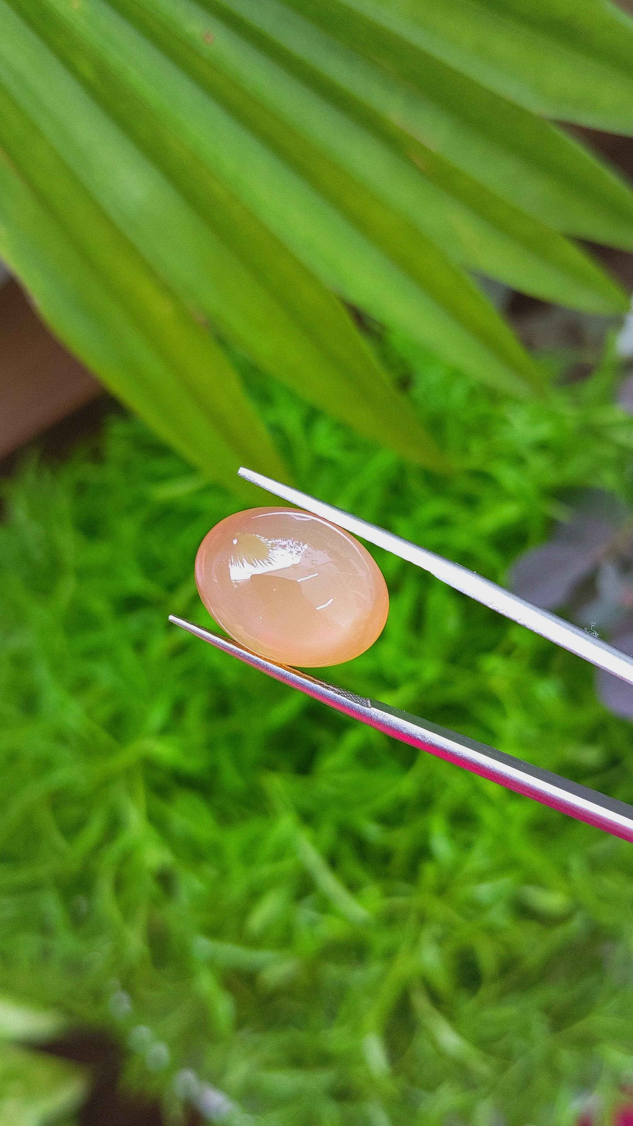 10.12 Ct. Cabochon Moonstone from Ceylon (Sri Lanka) Size Video