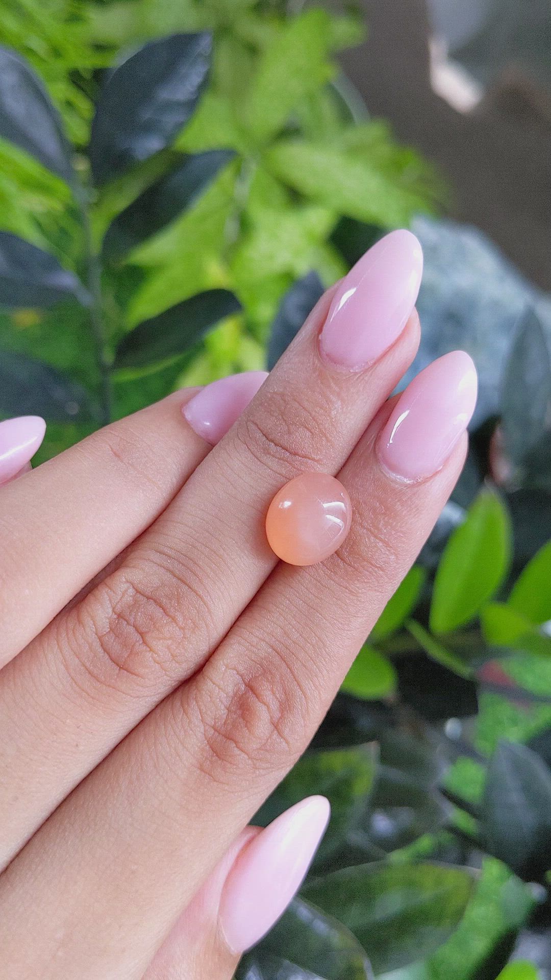 6.10 Ct. Cabochon Moonstone from Ceylon (Sri Lanka) Size Video