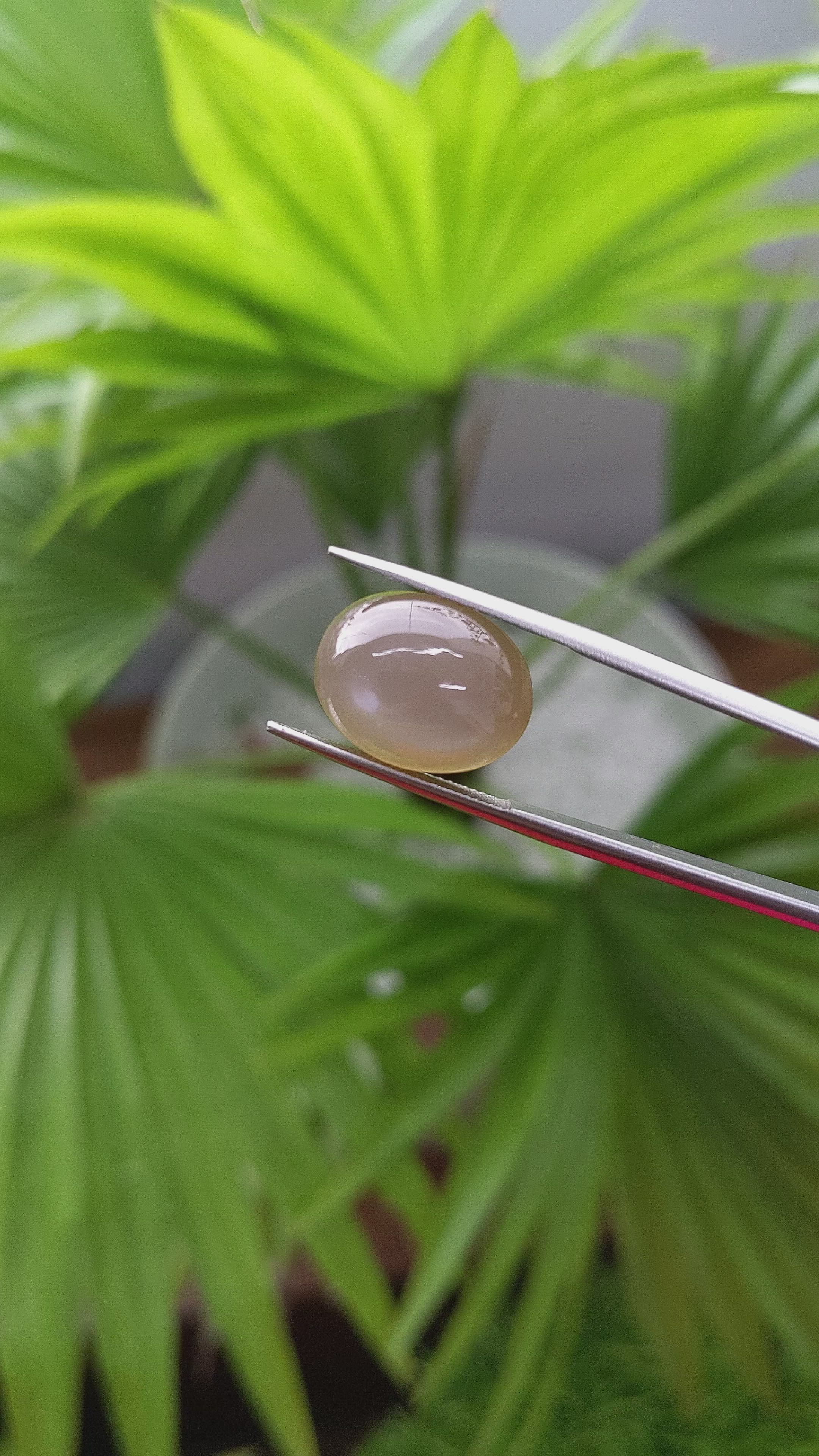 9.44 Ct. Cabochon Moonstone from Ceylon (Sri Lanka) Size Video