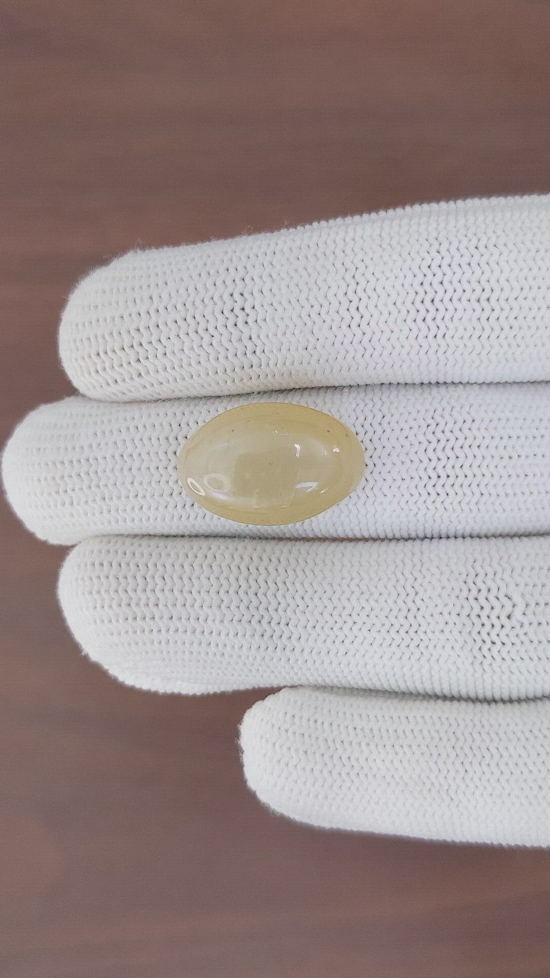 15.09 Ct. Cabochon Moonstone from Ceylon (Sri Lanka) Size Video