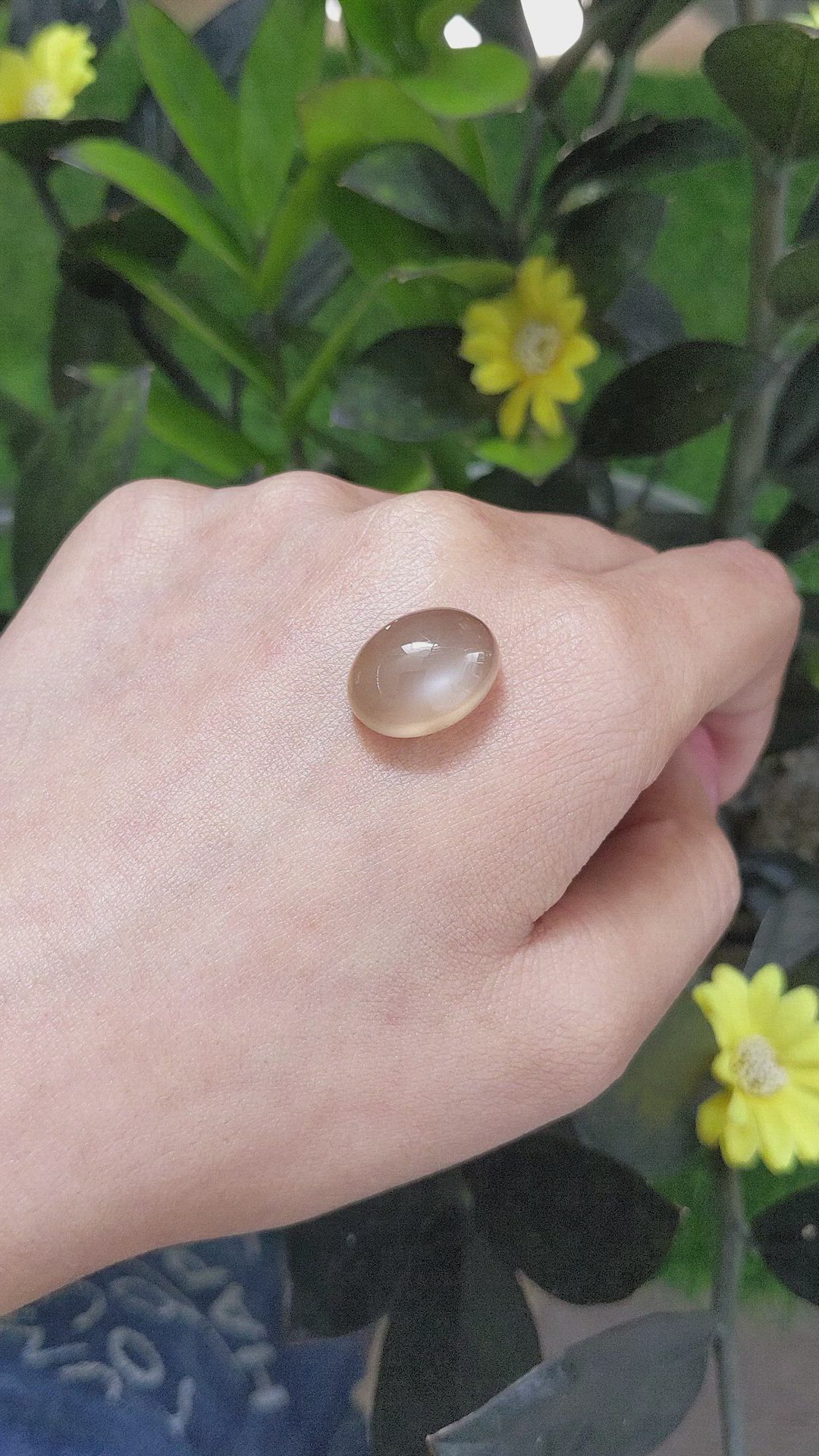 14.32 Ct. Cabochon Moonstone from Ceylon (Sri Lanka) Size Video