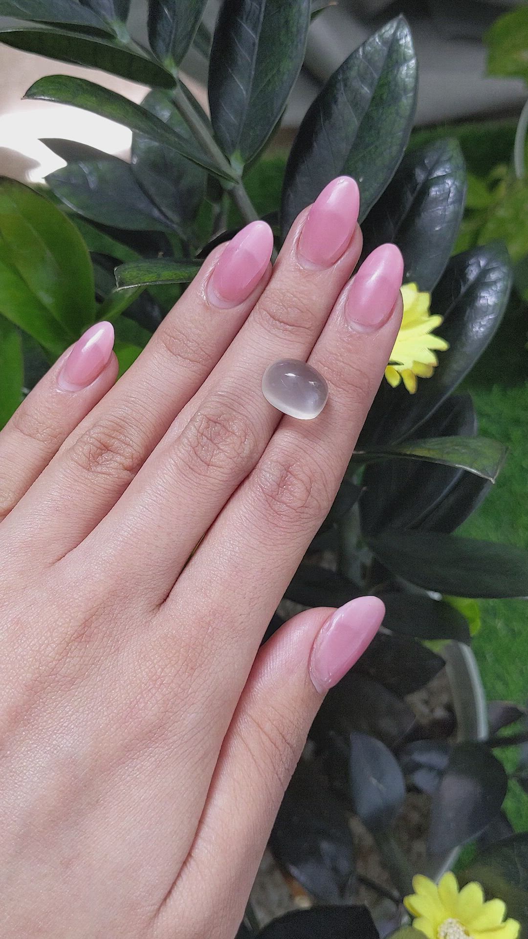 10.20 Ct. Cabochon Moonstone from Ceylon (Sri Lanka) Size Video