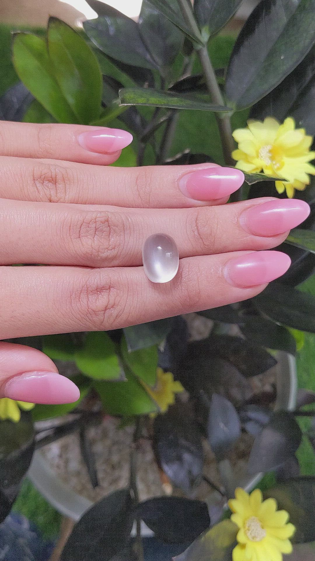10.20 Ct. Cabochon Moonstone from Ceylon (Sri Lanka) Size Video