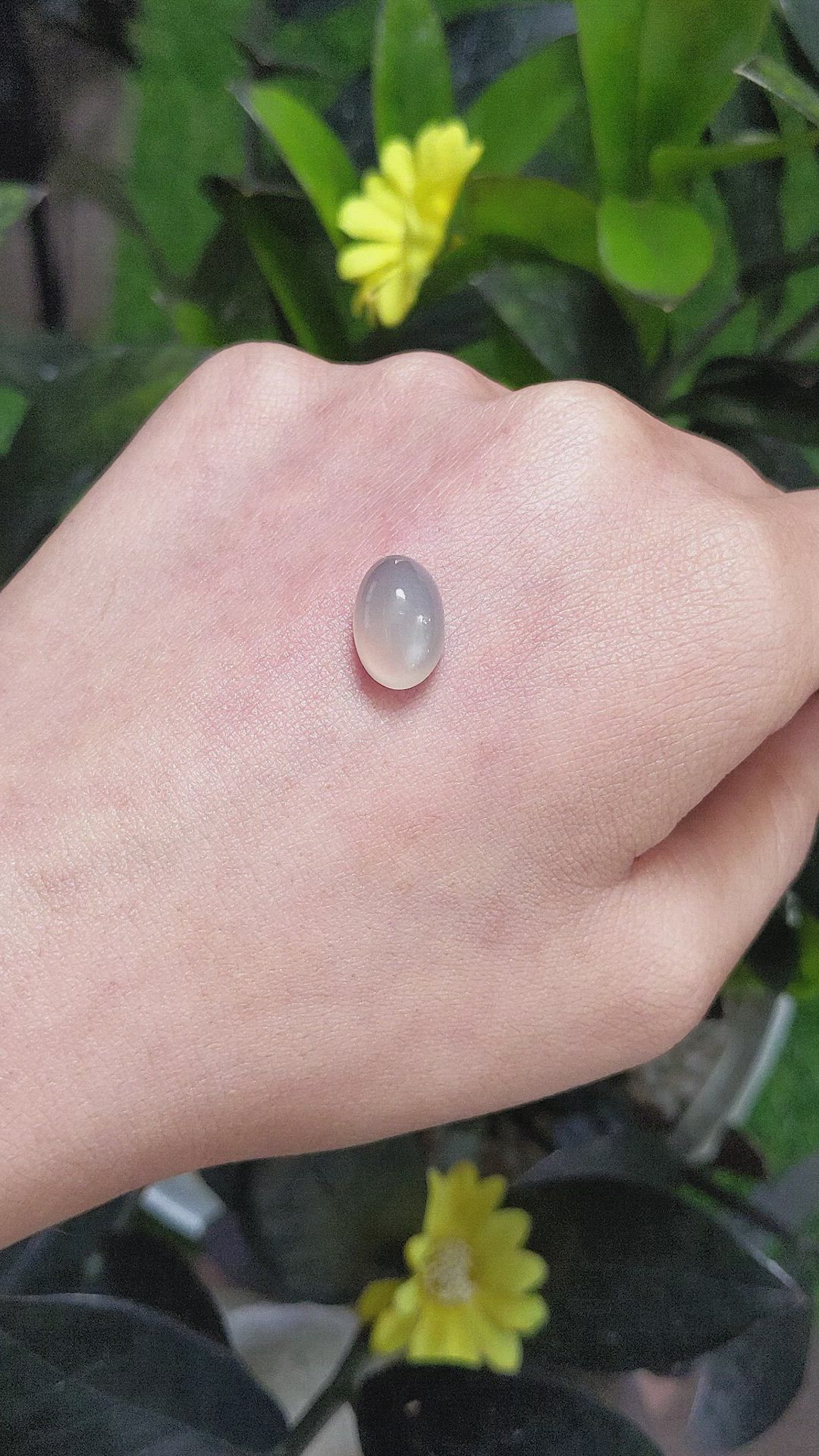 6.36 Ct. Cabochon Moonstone from Ceylon (Sri Lanka) Size Video