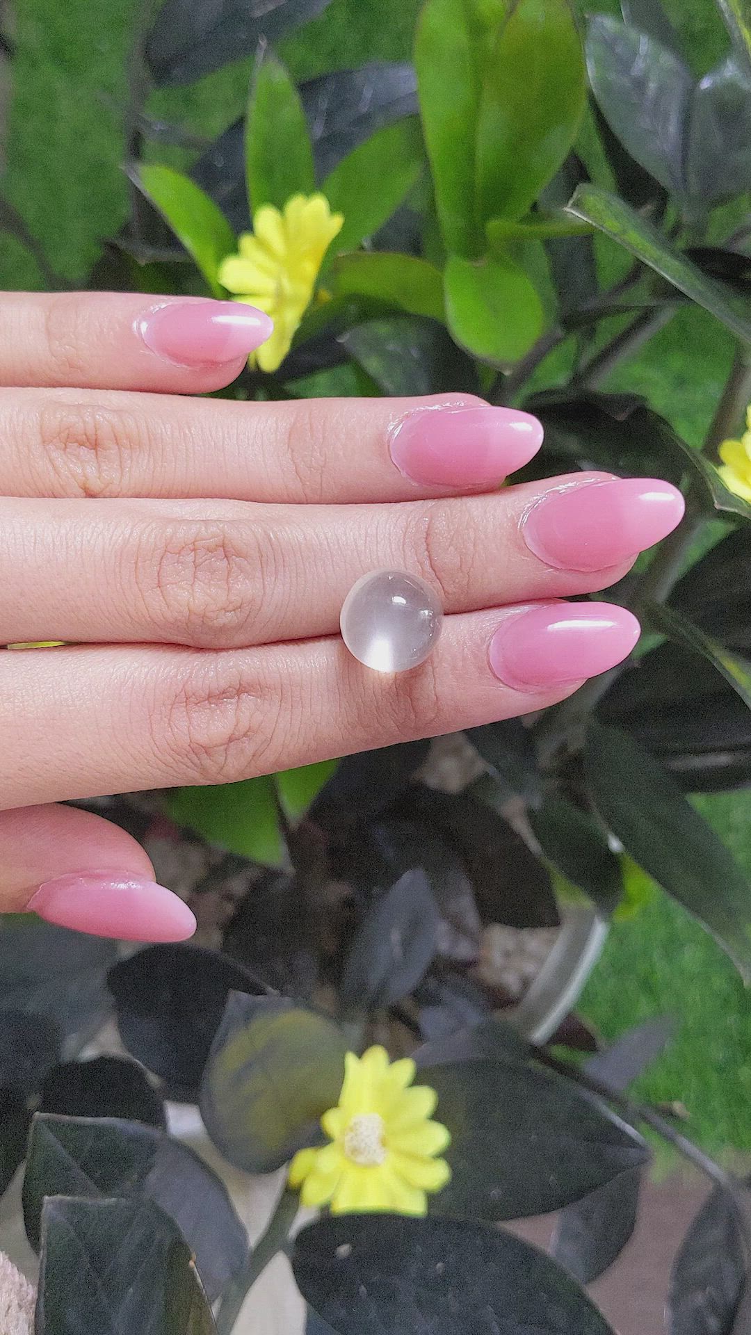 13.29 Ct. Cabochon Moonstone from Ceylon (Sri Lanka) Size Video