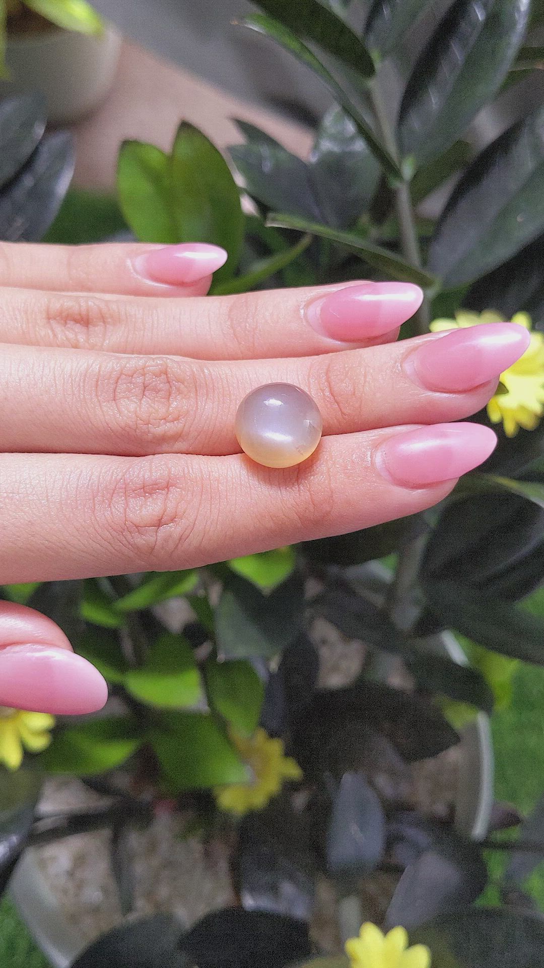 10.91 Ct. Cabochon Moonstone from Ceylon (Sri Lanka) Size Video