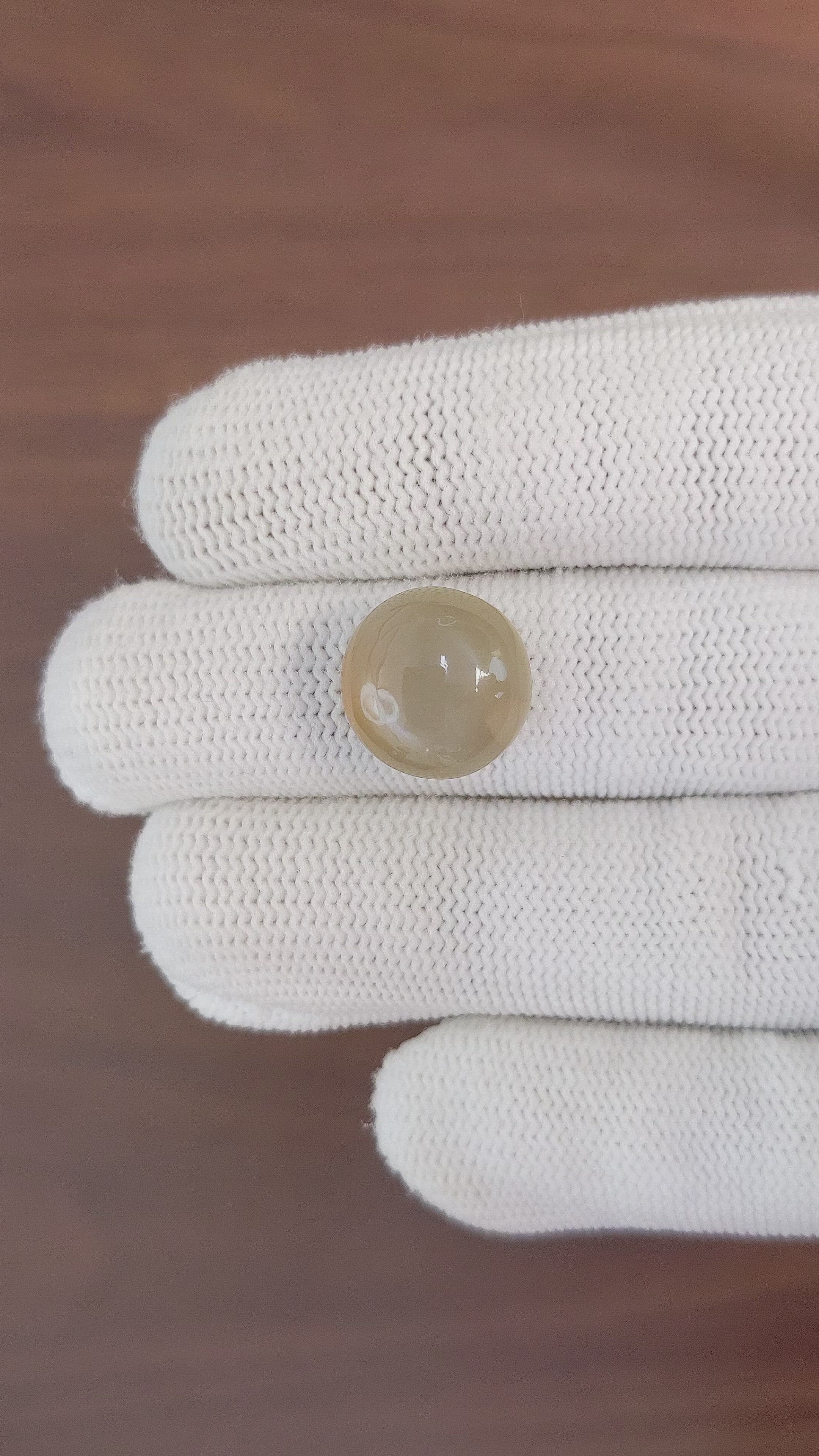 10.91 Ct. Cabochon Moonstone from Ceylon (Sri Lanka) Size Video