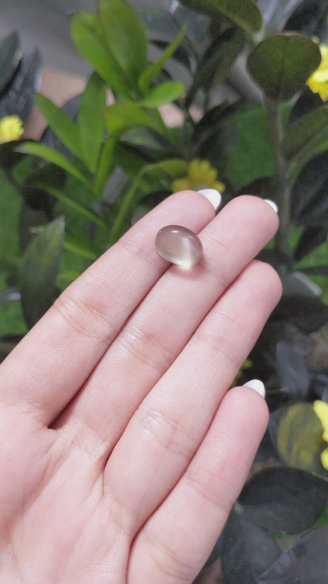 7.40 Ct. Cabochon Moonstone from Ceylon (Sri Lanka) Size Video