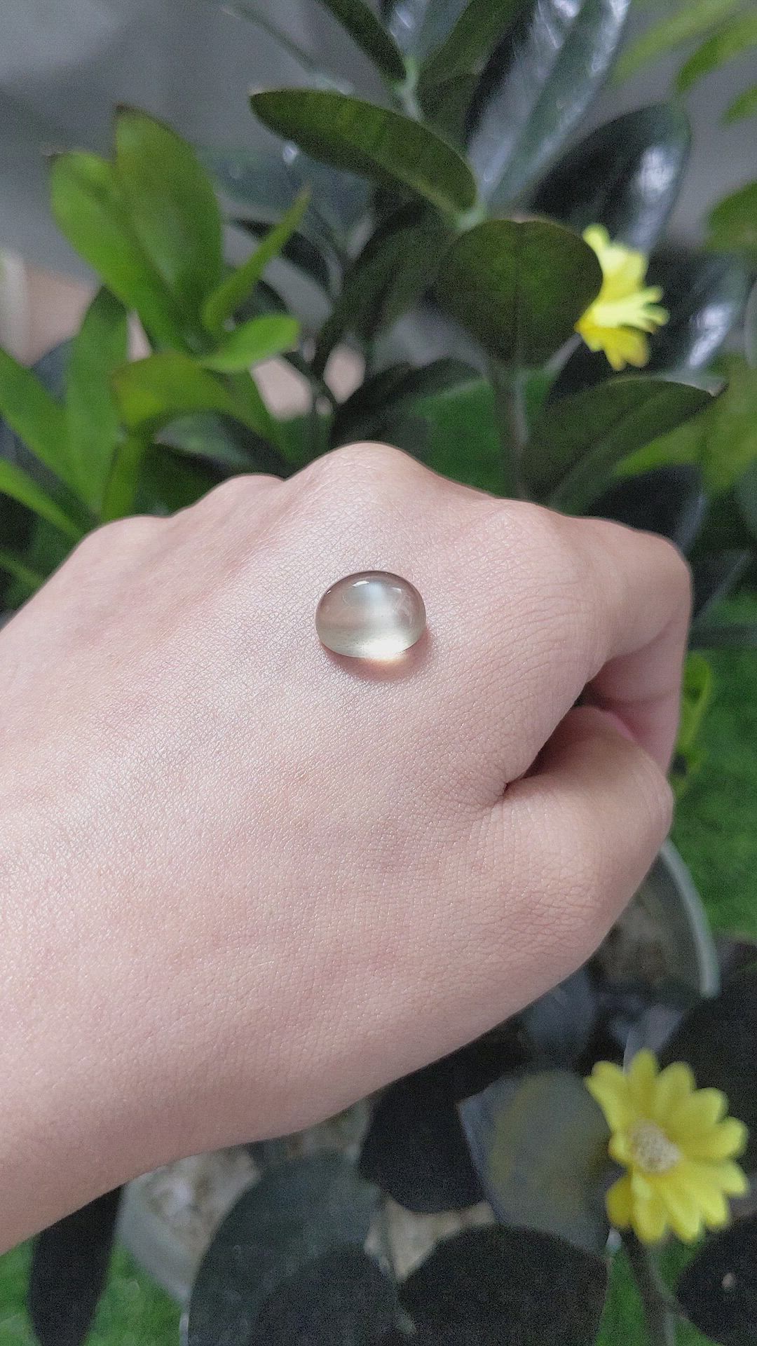 7.40 Ct. Cabochon Moonstone from Ceylon (Sri Lanka) Size Video