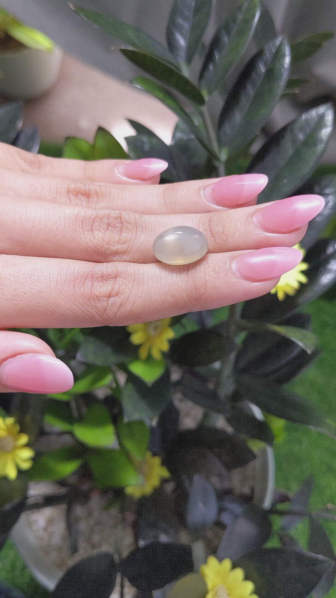 11.30 Ct. Cabochon Moonstone from Ceylon (Sri Lanka) Size Video