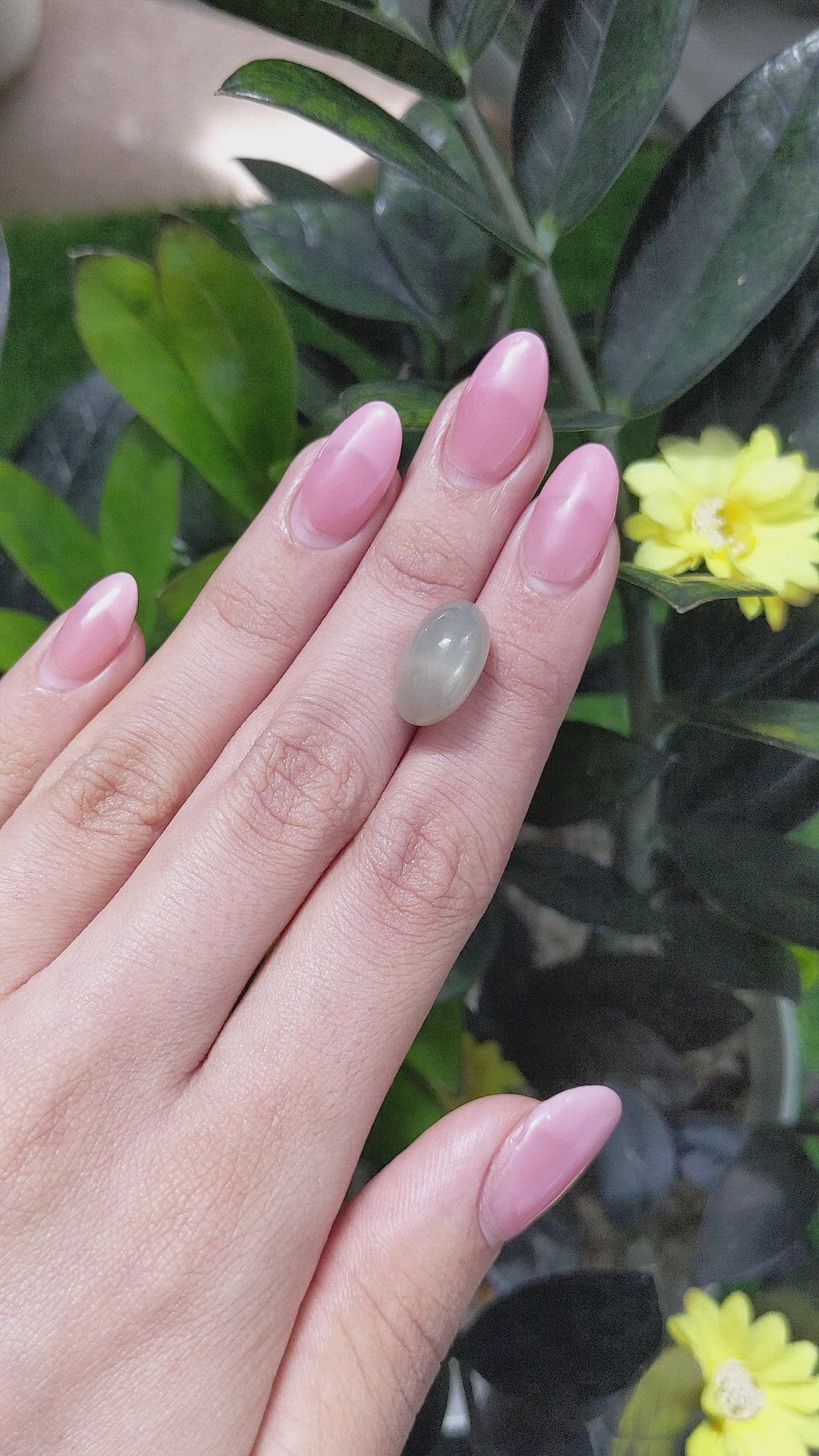 11.30 Ct. Cabochon Moonstone from Ceylon (Sri Lanka) Size Video