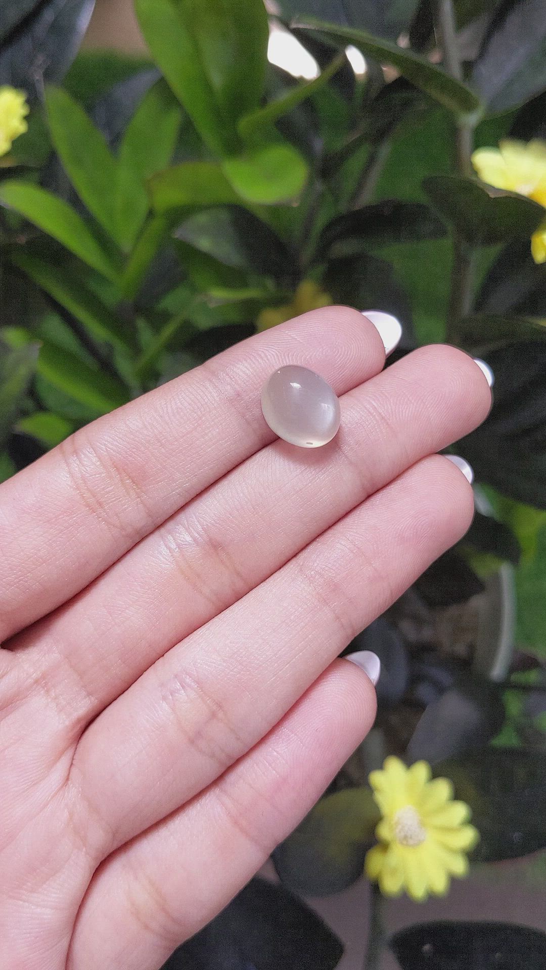 7.06 Ct. Cabochon Moonstone from Ceylon (Sri Lanka) Size Video