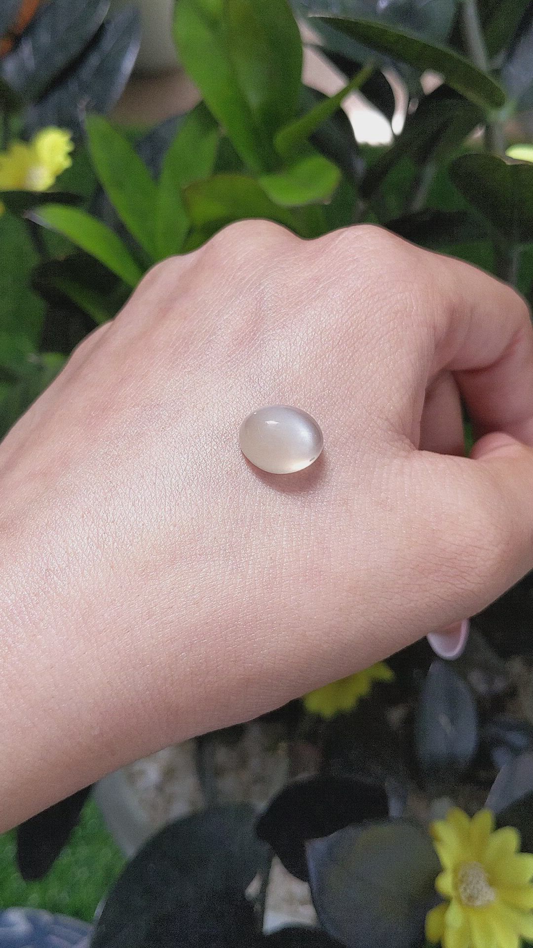 7.06 Ct. Cabochon Moonstone from Ceylon (Sri Lanka) Size Video