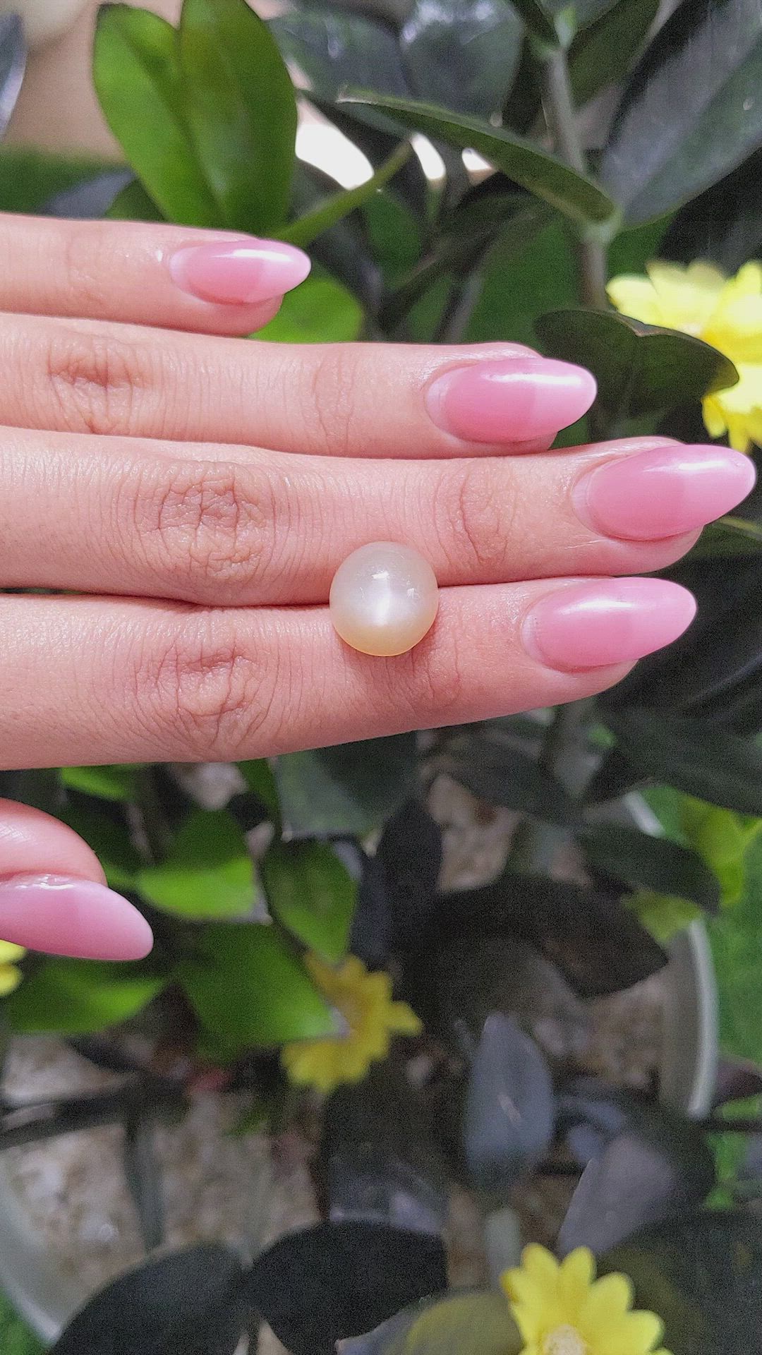 7.02 Ct. Cabochon Moonstone from Ceylon (Sri Lanka) Size Video