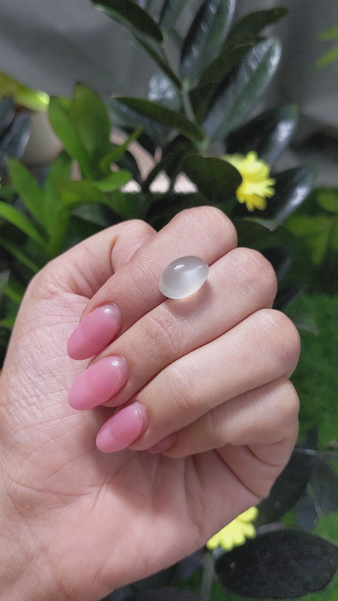 8.72 Ct. Cabochon Moonstone from Ceylon (Sri Lanka) Size Video
