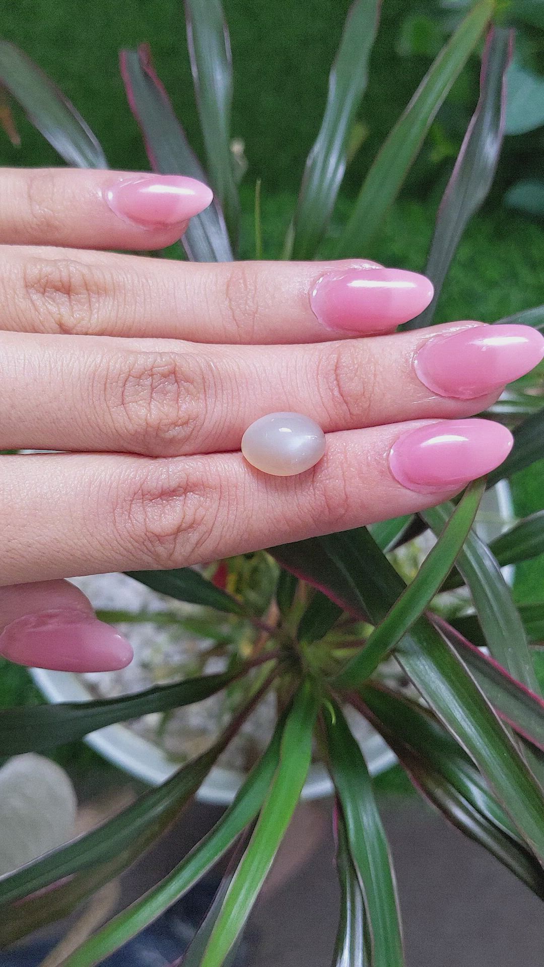 6.24 Ct. Cabochon Moonstone from Ceylon (Sri Lanka) Size Video