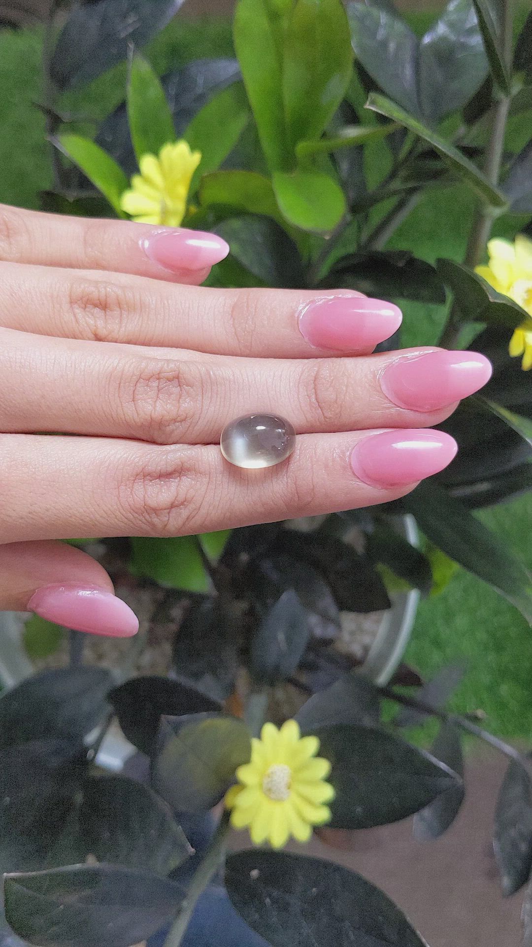 8.78 Ct. Cabochon Moonstone from Ceylon (Sri Lanka) Size Video