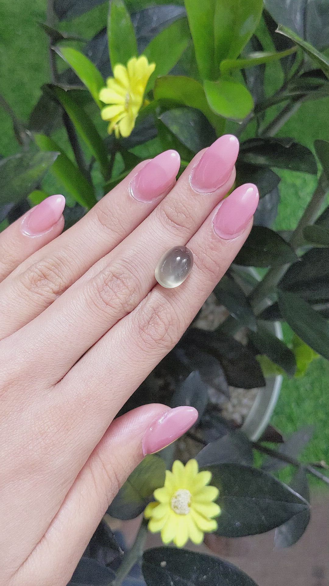 8.78 Ct. Cabochon Moonstone from Ceylon (Sri Lanka) Size Video