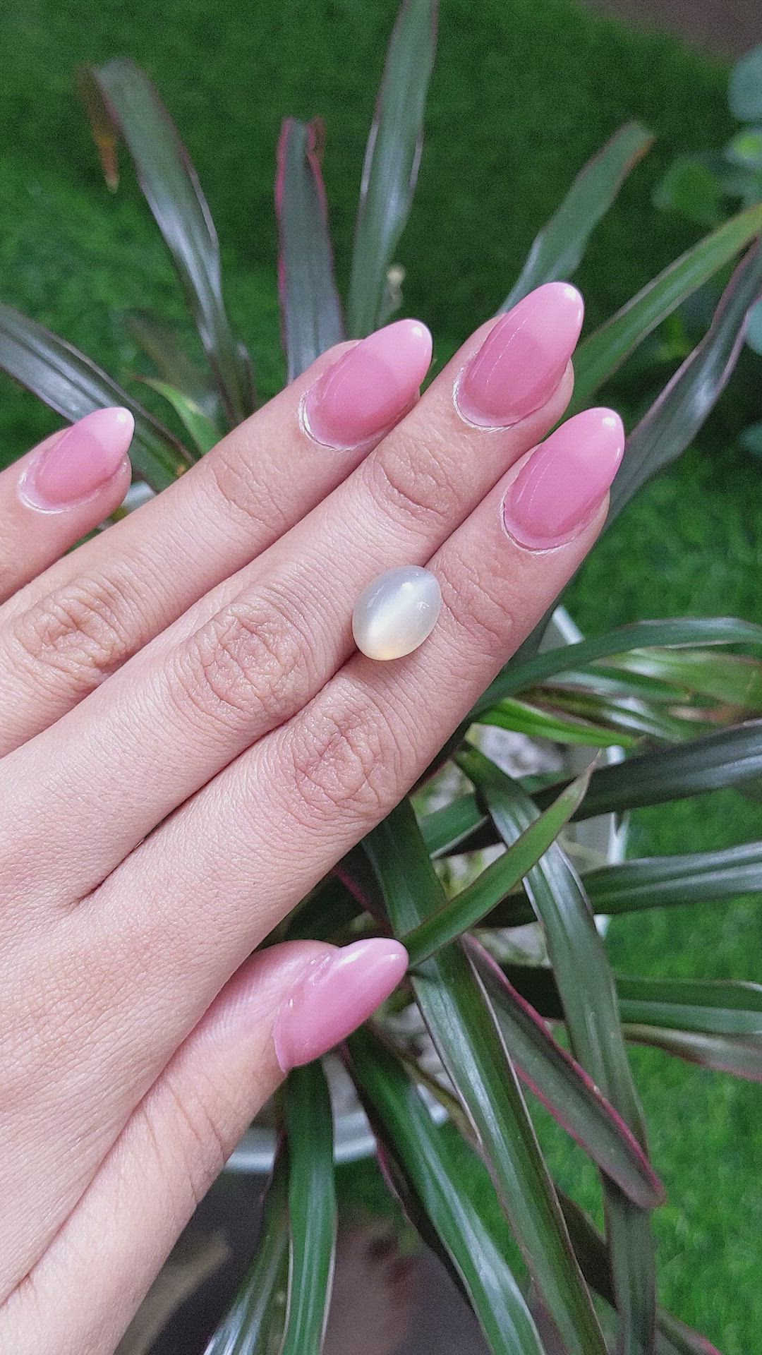 6.59 Ct. Cabochon Moonstone from Ceylon (Sri Lanka) Size Video